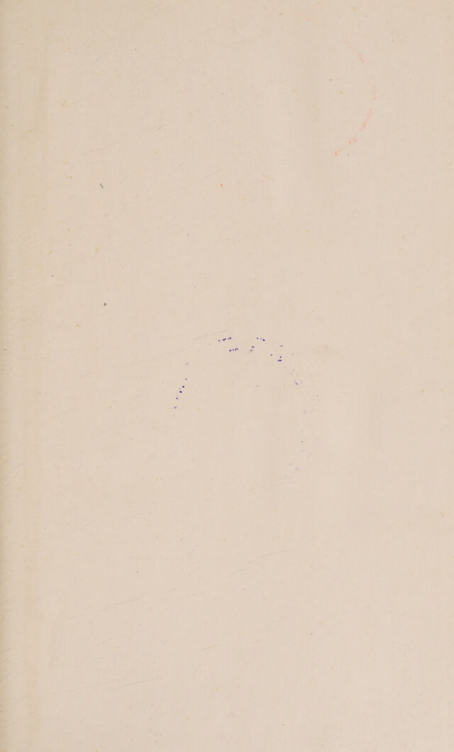 digitised image 3