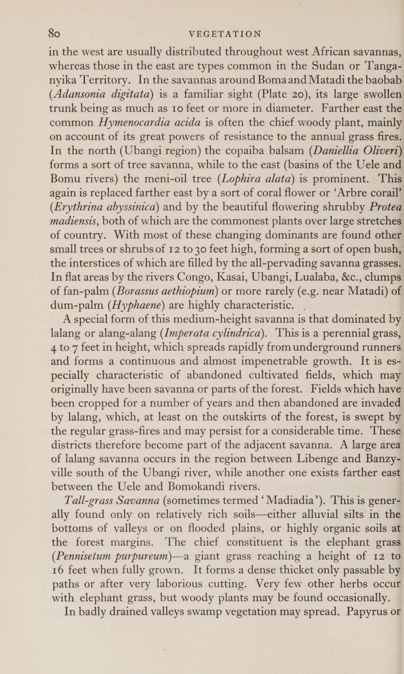 in the west are usually distributed throughout west African savannas, whereas those in the east are types common in the Sudan or 'Tanga- nyika ‘Territory. In the savannas around Bomaand Matadi the baobab (Adansonia digitata) is a familiar sight (Plate 20), its large swollen trunk being as much as Io feet or more in diameter. Farther east the common Hymenocardia acida is often the chief woody plant, mainly on account of its great powers of resistance to the annual grass fires. In the north (Ubangi region) the copaiba balsam (Daniellia Olvert) forms a sort of tree savanna, while to the east (basins of the Uele and Bomu rivers) the meni-oil tree (Lophira alata) is prominent. This again is replaced farther east by a sort of coral flower or ‘Arbre corail’ (Erythrina abyssinica) and by the beautiful flowering shrubby Protea madiensis, both of which are the commonest plants over large stretches of country. With most of these changing dominants are found other small trees or shrubs of 12 to 30 feet high, forming a sort of open bush, the interstices of which are filled by the all-pervading savanna grasses. In flat areas by the rivers Congo, Kasai, Ubangi, Lualaba, &amp;c., clumps of fan-palm (Borassus aethiopium) or more rarely (e.g. near Matadi) of dum-palm (Hyphaene) are highly characteristic. . A special form of this medium-height savanna is that dominated by lalang or alang-alang (Imperata cylindrica). ‘Vhis is a perennial grass, 4 to 7 feet in height, which spreads rapidly from underground runners and forms a continuous and almost impenetrable growth. It is es- pecially characteristic of abandoned cultivated fields, which may originally have been savanna or parts of the forest. Fields which have been cropped for a number of years and then abandoned are invaded by lalang, which, at least on the outskirts of the forest, is swept by the regular grass-fires and may persist for a considerable time. ‘These districts therefore become part of the adjacent savanna. A large area of lalang savanna occurs in the region between Libenge and Banzy- ville south of the Ubangi river, while another one exists farther east between the Uele and Bomokandi rivers. Tall-grass Savanna (sometimes termed ‘ Madiadia’). This is gener- ally found only on relatively rich soils—either alluvial silts in the bottoms of valleys or on flooded plains, or highly organic soils at the forest margins. ‘The chief constituent is the elephant grass (Pennisetum purpureum)—a giant grass reaching a height of 12 to 16 feet when fully grown. It forms a dense thicket only passable by paths or after very laborious cutting. Very few other herbs occur with elephant grass, but woody plants may be found occasionally. In badly drained valleys swamp vegetation may spread. Papyrus or