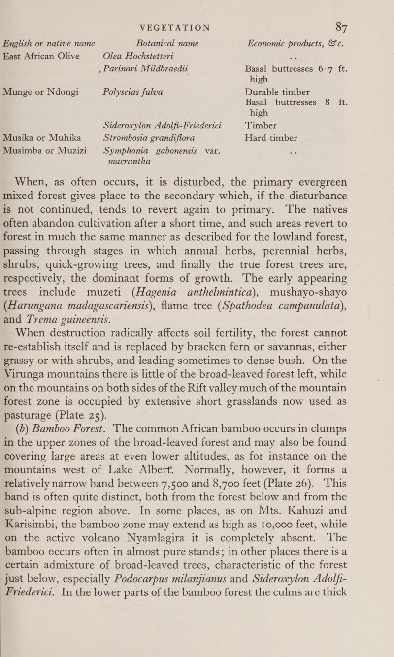 English or native name Botanical name Economic products, &amp;c. East African Olive Olea Hochstetteri ie , Parinari Mildbraedit Basal buttresses 6-7 ft. high Munge or Ndongi Polyscias fulva Durable timber Basal buttresses 8 ft. high Sideroxylon Adolfi-Friederici Timber Musika or Muhika Strombosia grandiflora Hard timber Musimba or Muzizi Symphonia gabonensis var. macrantha When, as often occurs, it is disturbed, the primary evergreen mixed forest gives place to the secondary which, if the disturbance is not continued, tends to revert again to primary. The natives often abandon cultivation after a short time, and such areas revert to forest in much the same manner as described for the lowland forest, passing through stages in which annual herbs, perennial herbs, shrubs, quick-growing trees, and finally the true forest trees are, respectively, the dominant forms of growth. The early appearing trees include muzeti (Hagenia anthelmintica), mushayo-shayo (Harungana madagascariensis), flame tree (Spathodea campanulata), and Trema guineensis. When destruction radically affects soil fertility, the forest cannot re-establish itself and is replaced by bracken fern or savannas, either grassy or with shrubs, and leading sometimes to dense bush. On the Virunga mountains there is little of the broad-leaved forest left, while on the mountains on both sides of the Rift valley much of the mountain forest zone is occupied by extensive short grasslands now used as pasturage (Plate 25). (6) Bamboo Forest. ‘The common African bamboo occurs in clumps in the upper zones of the broad-leaved forest and may also be found covering large areas at even lower altitudes, as for instance on the mountains west of Lake Albert. Normally, however, it forms a relatively narrow band between 7,500 and 8,700 feet (Plate 26). ‘This band is often quite distinct, both from the forest below and from the sub-alpine region above. In some places, as on Mts. Kahuzi and Karisimbi, the bamboo zone may extend as high as 10,000 feet, while on the active volcano Nyamlagira it is completely absent. ‘The bamboo occurs often in almost pure stands; in other places there is a certain admixture of broad-leaved trees, characteristic of the forest just below, especially Podocarpus milanjianus and Sideroxylon Adolfi- _Friederict. In the lower parts of the bamboo forest the culms are thick
