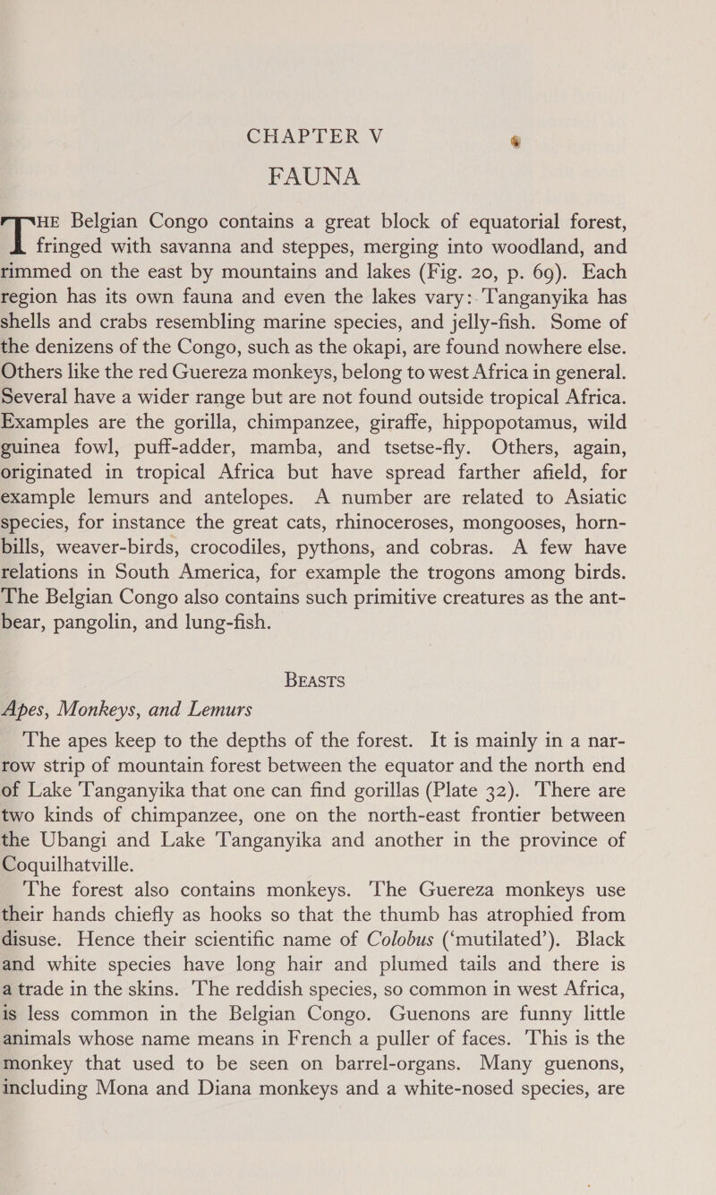 FAUNA a Belgian Congo contains a great block of equatorial forest, fringed with savanna and steppes, merging into woodland, and rimmed on the east by mountains and lakes (Fig. 20, p. 69). Each region has its own fauna and even the lakes vary:.'Tanganyika has shells and crabs resembling marine species, and jelly-fish. Some of the denizens of the Congo, such as the okapi, are found nowhere else. Others like the red Guereza monkeys, belong to west Africa in general. Several have a wider range but are not found outside tropical Africa. Examples are the gorilla, chimpanzee, giraffe, hippopotamus, wild — guinea fowl, puff-adder, mamba, and tsetse-fly. Others, again, originated in tropical Africa but have spread farther afield, for example lemurs and antelopes. A number are related to Asiatic species, for instance the great cats, rhinoceroses, mongooses, horn- bills, weaver-birds, crocodiles, pythons, and cobras. A few have relations in South America, for example the trogons among birds. The Belgian Congo also contains such primitive creatures as the ant- bear, pangolin, and lung-fish. - | BEASTS Apes, Monkeys, and Lemurs The apes keep to the depths of the forest. It is mainly in a nar- row strip of mountain forest between the equator and the north end of Lake Tanganyika that one can find gorillas (Plate 32). There are two kinds of chimpanzee, one on the north-east frontier between the Ubangi and Lake Tanganyika and another in the province of Coquilhatville. The forest also contains monkeys. ‘The Guereza monkeys use their hands chiefly as hooks so that the thumb has atrophied from disuse. Hence their scientific name of Colobus (‘mutilated’). Black and white species have long hair and plumed tails and there is a trade in the skins. ‘he reddish species, so common in west Africa, is less common in the Belgian Congo. Guenons are funny little animals whose name means in French a puller of faces. This is the monkey that used to be seen on barrel-organs. Many guenons, including Mona and Diana monkeys and a white-nosed species, are