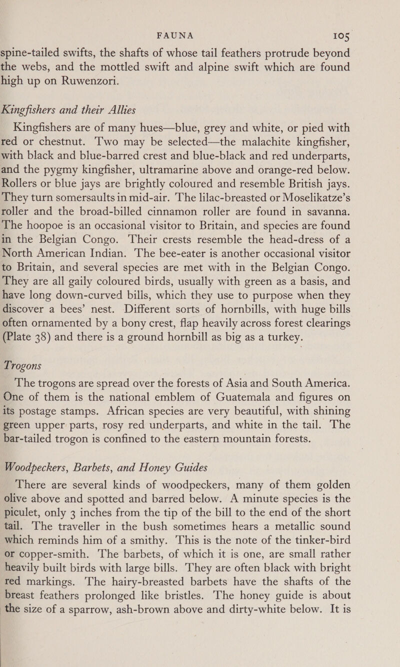 spine-tailed swifts, the shafts of whose tail feathers protrude beyond the webs, and the mottled swift and alpine swift which are found high up on Ruwenzori. Kingfishers and their Alhes Kingfishers are of many hues—blue, grey and white, or pied with red or chestnut. ‘wo may be selected—the malachite kingfisher, with black and blue-barred crest and blue-black and red underparts, and the pygmy kingfisher, ultramarine above and orange-red below. Rollers or blue jays are brightly coloured and resemble British jays. They turn somersaults in mid-air. The lilac-breasted or Moselikatze’s roller and the broad-billed cinnamon roller are found in savanna. The hoopoe is an occasional visitor to Britain, and species are found in the Belgian Congo. Their crests resemble the head-dress of a North American Indian. The bee-eater is another occasional visitor to Britain, and several species are met with in the Belgian Congo. They are all gaily coloured birds, usually with green as a basis, and have long down-curved bills, which they use to purpose when they discover a bees’ nest. Different sorts of hornbills, with huge bills often ornamented by a bony crest, flap heavily across forest clearings (Plate 38) and there is a ground hornbill as big as a turkey. Trogons The trogons are spread over the forests of Asia and South America. One of them is the national emblem of Guatemala and figures on its postage stamps. African species are very beautiful, with shining green upper parts, rosy red underparts, and white in the tail. The bar-tailed trogon is confined to the eastern mountain forests. Woodpeckers, Barbets, and Honey Guides There are several kinds of woodpeckers, many of them golden olive above and spotted and barred below. A minute species is the piculet, only 3 inches from the tip of the bill to the end of the short tail. ‘The traveller in the bush sometimes hears a metallic sound which reminds him of a smithy. This is the note of the tinker-bird or copper-smith. The barbets, of which it is one, are small rather heavily built birds with large bills. They are often black with bright red markings. The hairy-breasted barbets have the shafts of the breast feathers prolonged like bristles. The honey guide is about the size of a sparrow, ash-brown above and dirty-white below. It is