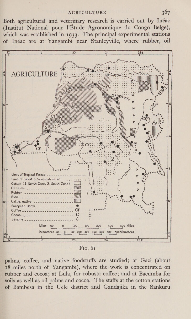 Both agricultural and veterinary research is carried out by Inéac (Institut National pour Etude Agronomique du Congo Belge), which was established in 1933. The principal experimental stations of Inéac are at Yangambi near Stanleyville, where rubber, oil &lt;&gt; 3, 5 Meets 8 00,9, O90, SSO o, 0.9, CRS SS SS Sere Ox races “ £50 SRS S050 renee 0,0, S555 S55525 SOS ORR ceatotstat easetetetes 5 6 % x? &amp; CR + ~ ‘ + a + +eteeeoerrertt+ tipueor tropical Forest = 222.2 2S oo Limit of Forest &amp; Savannah mixed____.eoseecee Cotton (I North Zone, 2 South Zone) [-- Oil Palms Rubber Cattle, native European Herds Coffee saeeee” + + + + + Miles 100 : 200 300 400 500 Miles —— a) Kilometres 100 9 100 200 300 400 S500 600 700Kilometres SS at eS a _20 24 Fig. :61 16  palms, coffee, and native foodstuffs are studied; at Gazi (about 18 miles north of Yangambi), where the work is concentrated on rubber and cocoa; at Lula, for robusta coffee; and at Bacumba for soils as well as oil palms and cocoa. ‘The staffs at the cotton stations of Bambesa in the Uele district and Gandajika in the Sankuru