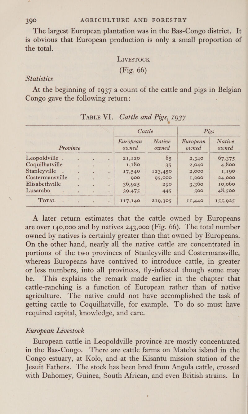 The largest European plantation was in the Bas-Congo district. It is obvious that European production is only a small proportion of the total. LIVESTOCK (Fig. 66) Statistics At the beginning of 1937 a count of the cattle and pigs in Belgian Congo gave the following return: TaBLe VI. Cattle and Pigs, 1937       Cattle Pigs European Native European Native Province owned owned owned owned Leopoldville . : ; , 21,120 85 2,340 67,275 Coquilhatville ‘ ; ; 1,180 25 2,040 4,800 Stanleyville . : . : 17,540 123,450 2,000 1,190 Costermansville ; ; ; goo 95,000 1,200 24,000 Elisabethville : ; : 36,925 290 3,360 10,060 Lusambo : : ; ; 39,475 445 500 48,500 TOTAL —. ; : , 117,140 219,305 11,440 155,925   A later return estimates that the cattle owned by Europeans are over 140,000 and by natives 243,000 (Fig. 66). ‘The total number owned by natives is certainly greater than that owned by Europeans. On the other hand, nearly all the native cattle are concentrated in portions of the two provinces of Stanleyville and Costermansville, whereas Europeans have contrived to introduce cattle, in greater or less numbers, into all provinces, fly-infested though some may be. This explains the remark made earlier in the chapter that cattle-ranching is a function of European rather than of native agriculture. The native could not have accomplished the task of getting cattle to Coquilhatville, for example. ‘To do so must have required capital, knowledge, and care. European Livestock European cattle in Leopoldville province are mostly concentrated in the Bas-Congo. There are cattle farms on Mateba island in the Congo estuary, at Kolo, and at the Kisantu mission station of the Jesuit Fathers. ‘The stock has been bred from Angola cattle, crossed with Dahomey, Guinea, South African, and even British strains. In