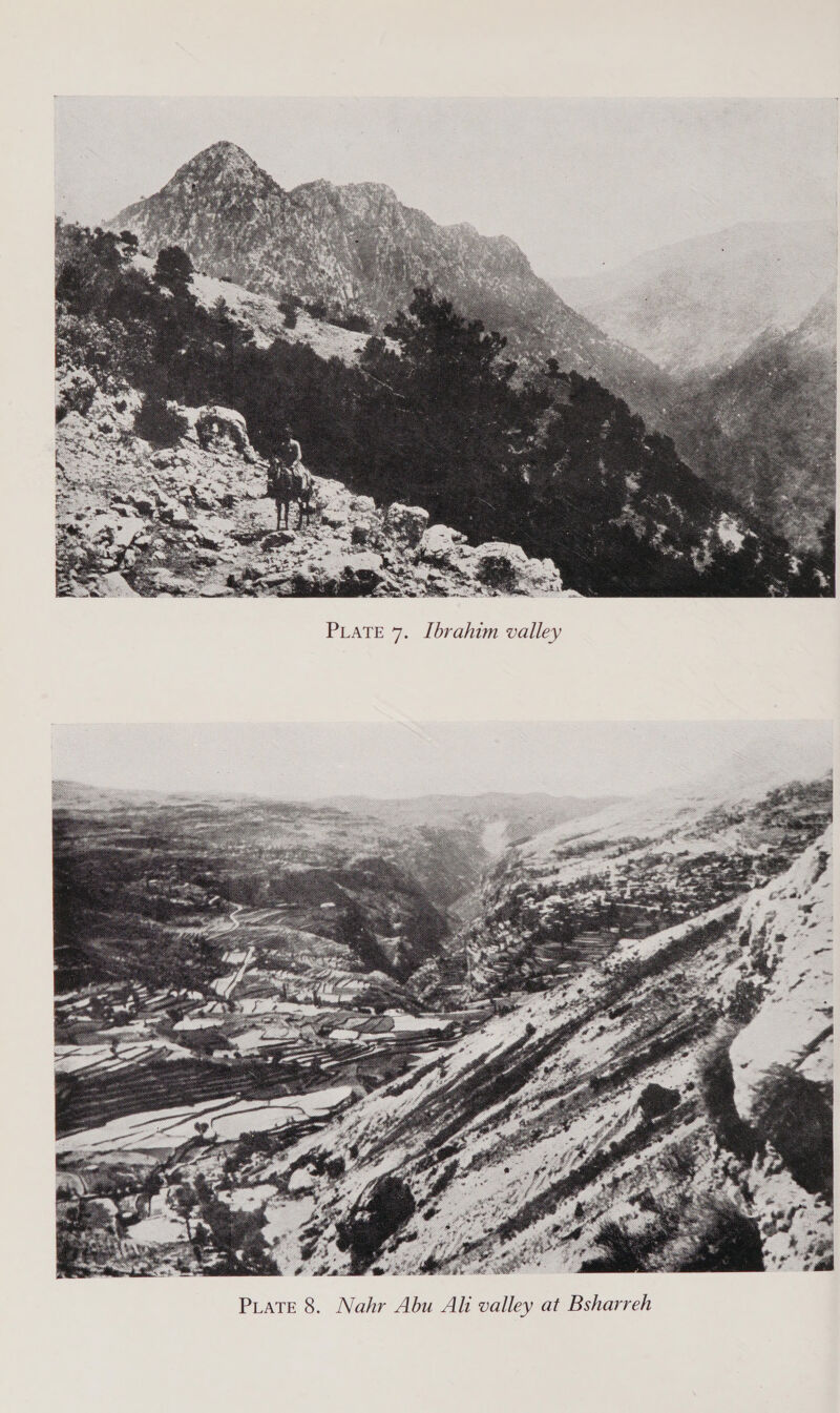  PLATE 7. [brahim valley 
