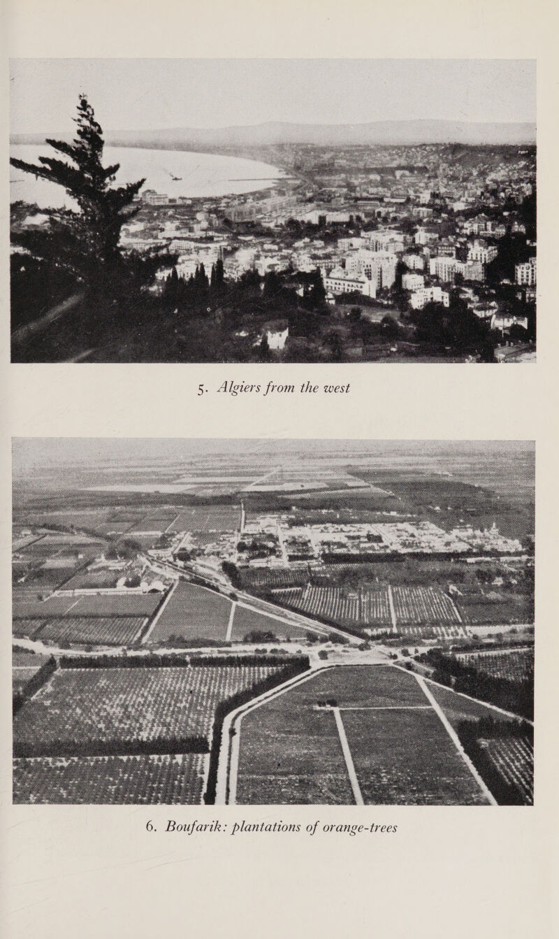  from the west 1ée7rs Algi 5  .