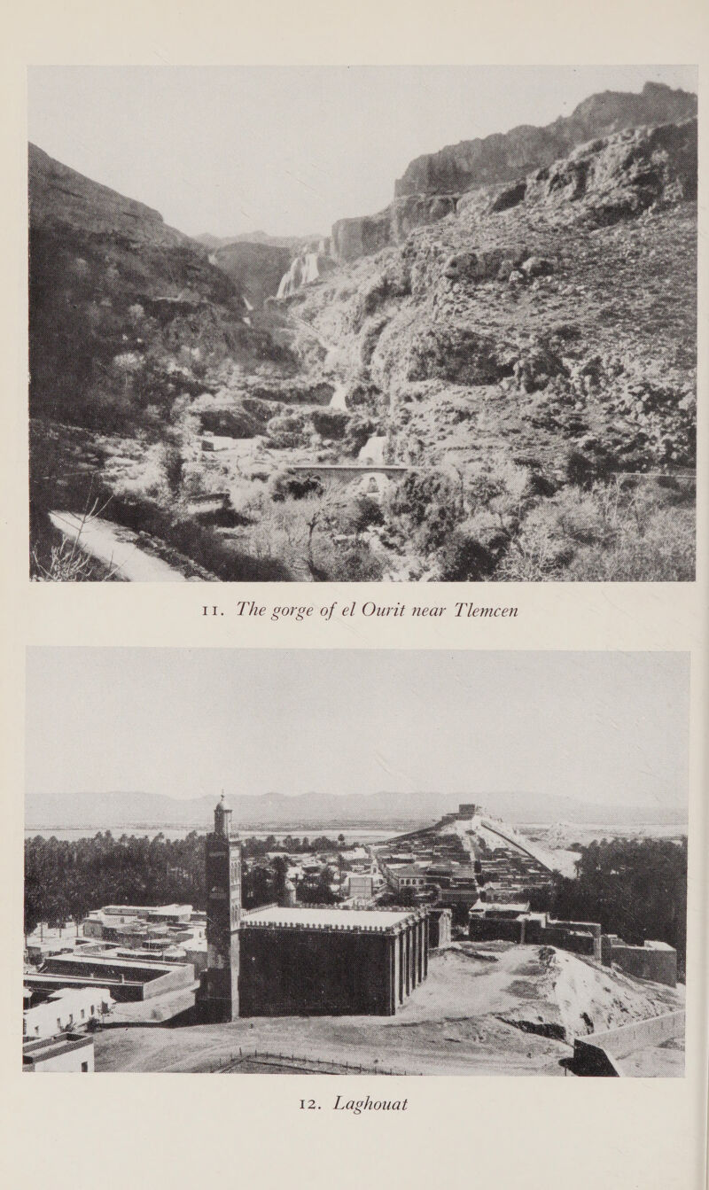  11. The gorge of el Ourtt near Tlemcen 