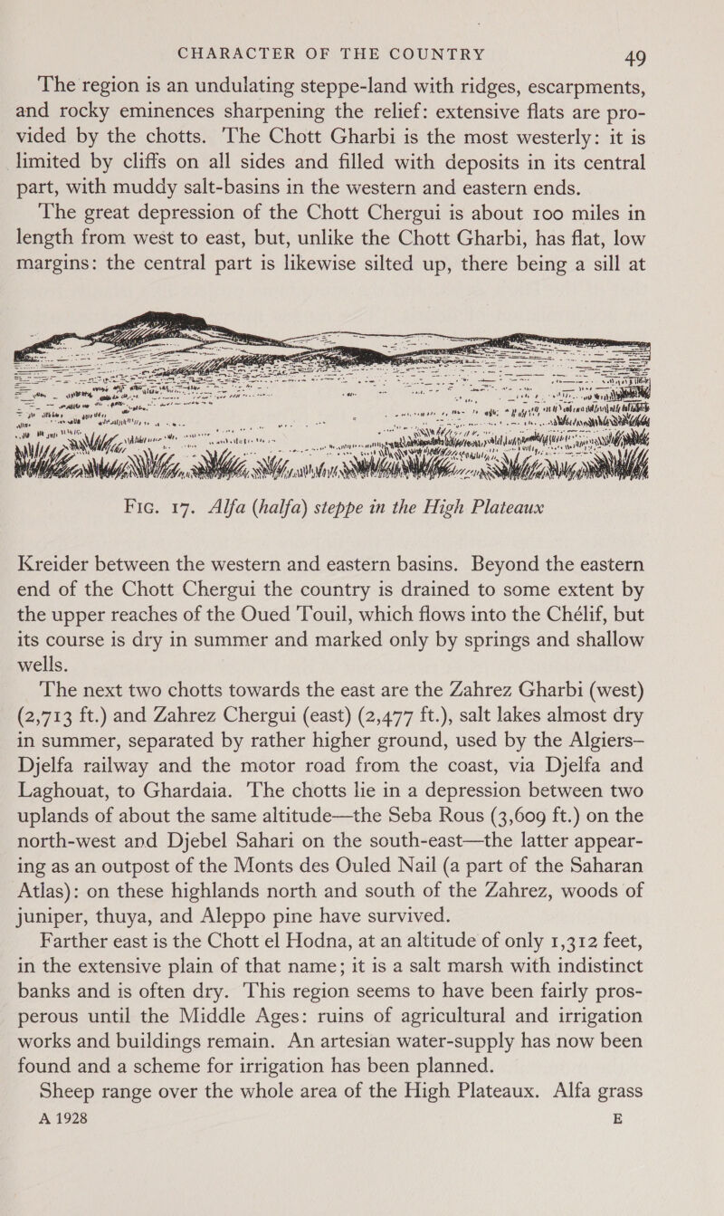 The region is an undulating steppe-land with ridges, escarpments, and rocky eminences sharpening the relief: extensive flats are pro- vided by the chotts. The Chott Gharbi is the most westerly: it is limited by cliffs on all sides and filled with deposits in its central part, with muddy salt-basins in the western and eastern ends. The great depression of the Chott Chergui is about roo miles in length from west to east, but, unlike the Chott Gharbi, has flat, low margins: the central part is likewise silted up, there being a sill at ee ie Y) Cy, > a» w a ne rae “Bei ‘ it ut nae om i die WAY Iie Bee Nas aap Pa “eda ice ve ue RN) fff,,srosn ae SUG ase ‘a ra\} if dee ee ale alia ane My + Scotty” -nil We Mi; PTE WRN RY Hee eaagulig, oe wi CaN Mo Ma Wi, fry. .3 vie we hie ir Mil NW Fic. 17. Alfa (halfa) steppe in the High Plateaux Kreider between the western and eastern basins. Beyond the eastern end of the Chott Chergui the country is drained to some extent by the upper reaches of the Oued Touil, which flows into the Chélif, but its course is dry in summer and marked only by springs and shallow wells. The next two chotts towards the east are the Zahrez Gharbi (west) (2,713 ft.) and Zahrez Chergui (east) (2,477 ft.), salt lakes almost dry in summer, separated by rather higher ground, used by the Algiers— Djelfa railway and the motor road from the coast, via Djelfa and Laghouat, to Ghardaia. The chotts lie in a depression between two uplands of about the same altitude—the Seba Rous (3,609 ft.) on the north-west and Djebel Sahari on the south-east—the latter appear- ing as an outpost of the Monts des Ouled Nail (a part of the Saharan Atlas): on these highlands north and south of the Zahrez, woods of juniper, thuya, and Aleppo pine have survived. Farther east is the Chott el Hodna, at an altitude of only 1,312 feet, in the extensive plain of that name; it is a salt marsh with indistinct banks and is often dry. This region seems to have been fairly pros- perous until the Middle Ages: ruins of agricultural and irrigation works and buildings remain. An artesian water-supply has now been found and a scheme for irrigation has been planned. Sheep range over the whole area of the High Plateaux. Alfa grass A 1928 E