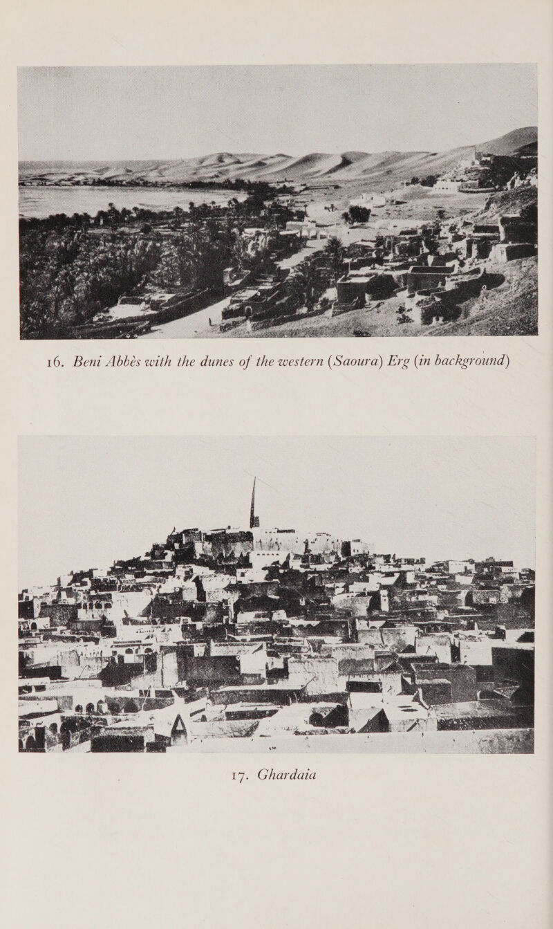   16. Beni Abbés with the dunes of the western (Saoura) Erg (in background) 