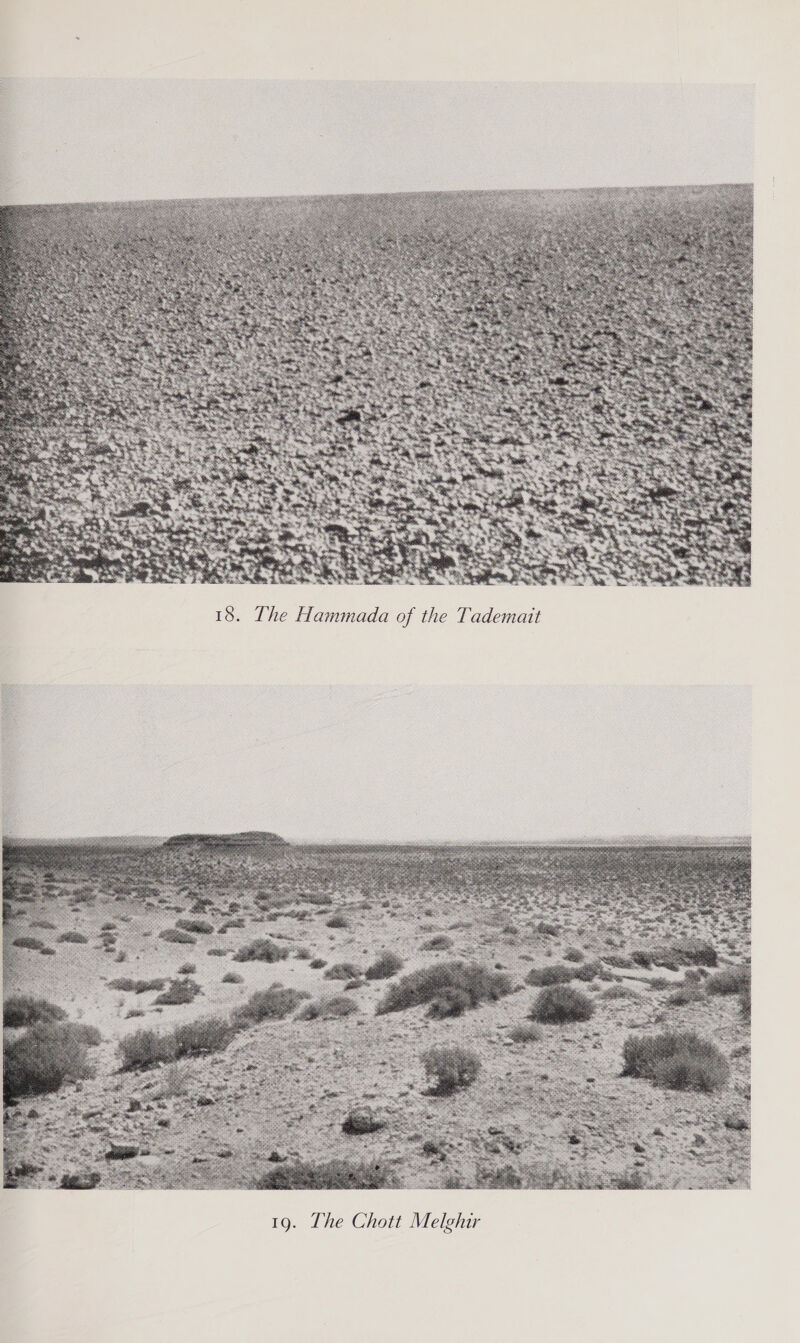  18. The Hammada of the Tademait  