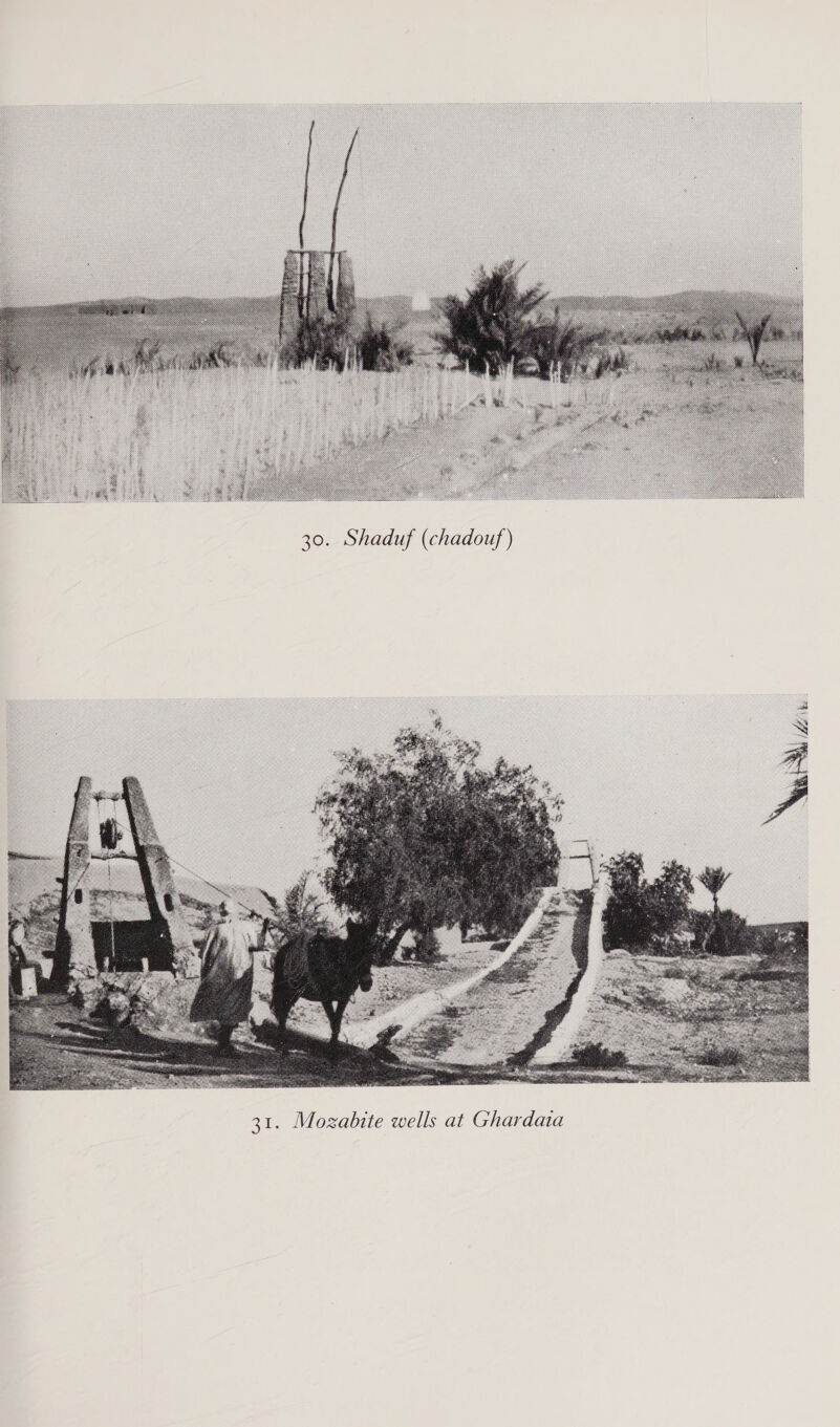  hadouf ) (c if . Shadu 30  daia Mozabite wells at Ghar 3