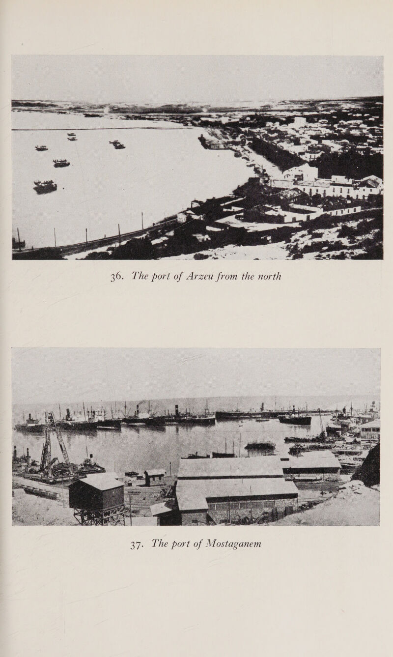  36. The port of Arzeu from the north 