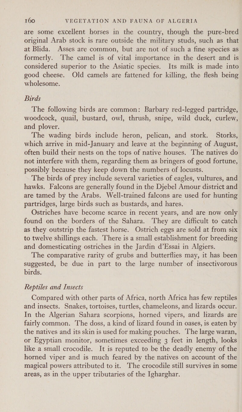 are some excellent horses in the country, though the pure-bred original Arab stock is rare outside the military studs, such as that at Blida. Asses are common, but are not of such a fine species as formerly. ‘he camel is of vital importance in the desert and is considered superior to the Asiatic species. Its milk is made into good cheese. Old camels are fattened for killing, the flesh being wholesome. Birds The following birds are common: Barbary red-legged partridge, woodcock, quail, bustard, owl, thrush, snipe, wild duck, curlew, and plover. The wading birds include heron, pelican, and stork. Storks, which arrive in mid-January and leave at the beginning of August, often build their nests on the tops of native houses. ‘The natives do not interfere with them, regarding them as bringers of good fortune, possibly because they keep down the numbers of locusts. The birds of prey include several varieties of eagles, vultures, and hawks. Falcons are generally found in the Djebel Amour district and are tamed by the Arabs. Well-trained falcons are used for hunting partridges, large birds such as bustards, and hares. Ostriches have become scarce in recent years, and are now only found on the borders of the Sahara. ‘They are difficult to catch as they outstrip the fastest horse. Ostrich eggs are sold at from six to twelve shillings each. There is a small establishment for breeding and domesticating ostriches in the Jardin d’Essai in Algiers. The comparative rarity of grubs and butterflies may, it has been suggested, be due in part to the large number of insectivorous birds. Reptiles and Insects Compared with other parts of Africa, north Africa has few reptiles and insects. Snakes, tortoises, turtles, chameleons, and lizards occur. In the Algerian Sahara scorpions, horned vipers, and lizards are fairly common. The doss, a kind of lizard found in oases, is eaten by the natives and its skin is used for making pouches. ‘The large waran, or Egyptian monitor, sometimes exceeding 3 feet in length, looks like a small crocodile. It is reputed to be the deadly enemy of the horned viper and is much feared by the natives on account of the magical powers attributed to it. ‘The crocodile still survives in some areas, as in the upper tributaries of the Igharghar.