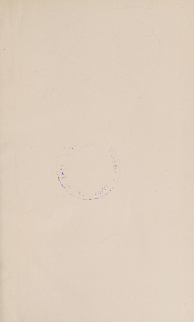 digitised image 3
