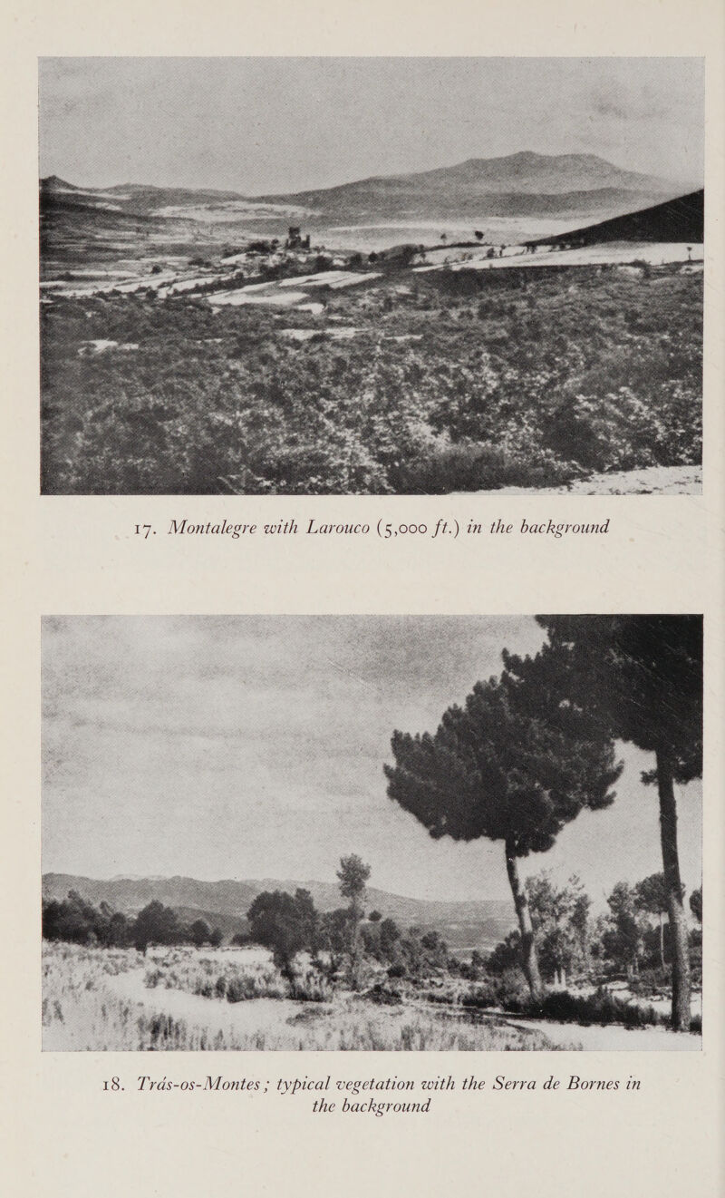  17. Montalegre with Larouco (5,000 ft.) in the background 