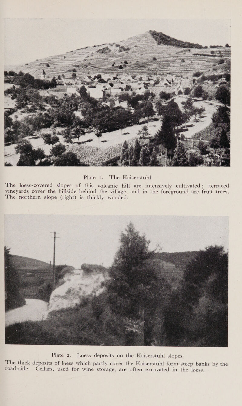  Plate 1. The Kaiserstuhl The loess-covered slopes of this volcanic hill are intensively cultivated; terraced vineyards cover the hillside behind the village, and in the foreground are fruit trees. The northern slope (right) is thickly wooded. 