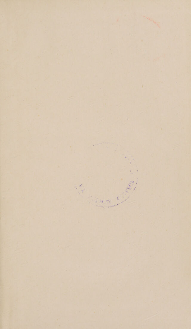 digitised image 3