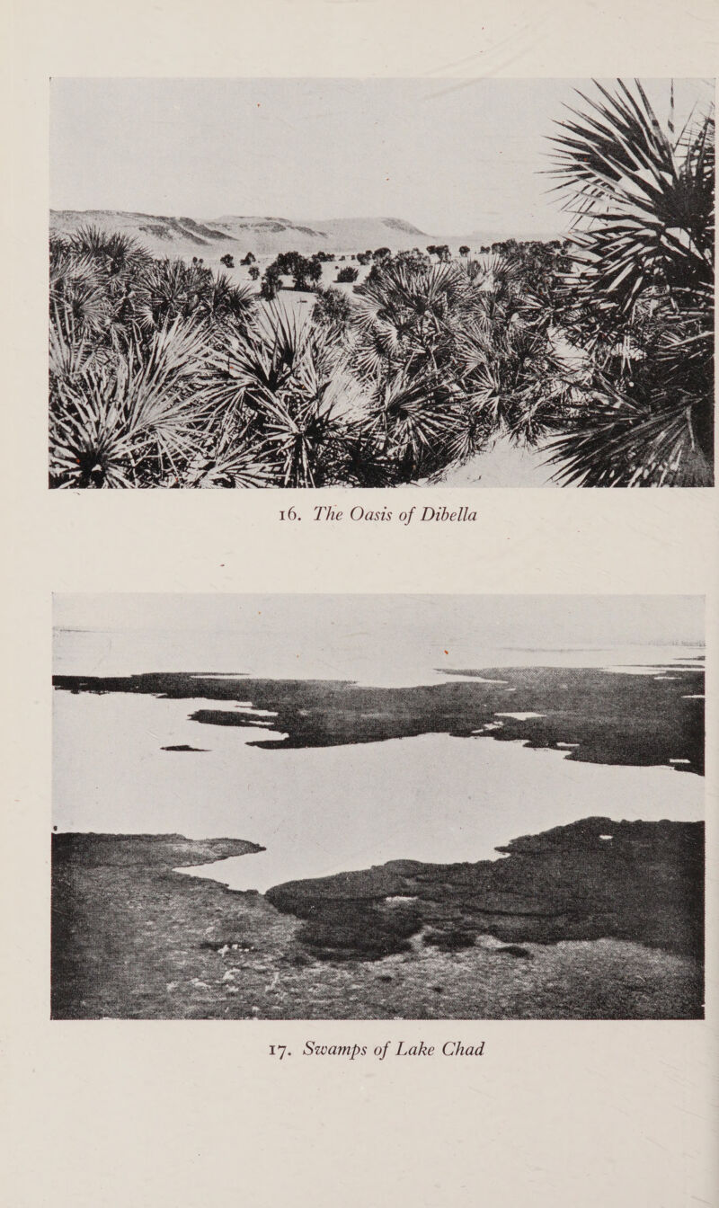  16. The Oasts of Dibella 