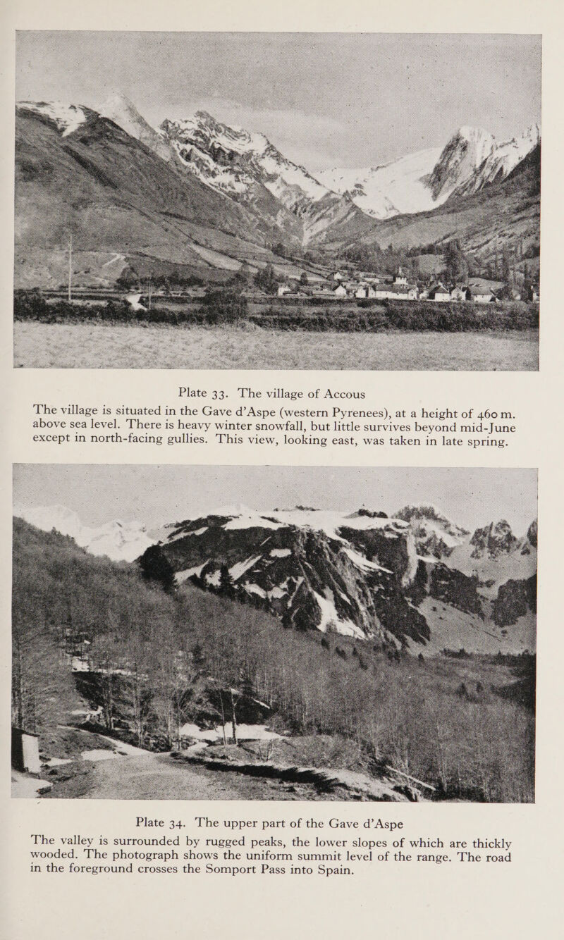  Plate 33. The village of Accous The village is situated in the Gave d’Aspe (western Pyrenees), at a height of 460 m. above sea level. There is heavy winter snowfall, but little survives beyond mid-June except in north-facing gullies. This view, looking east, was taken in late spring. 