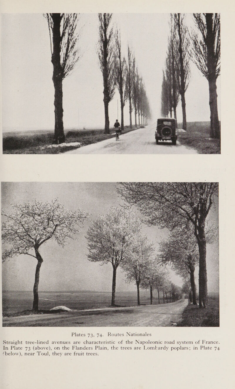  Straight tree-lined avenues are characteristic of the Napoleonic road system of France. In Plate 73 (above), on the Flanders Plain, the trees are Lomkardy poplars; in Plate 74 (below), near Toul, they are fruit trees.