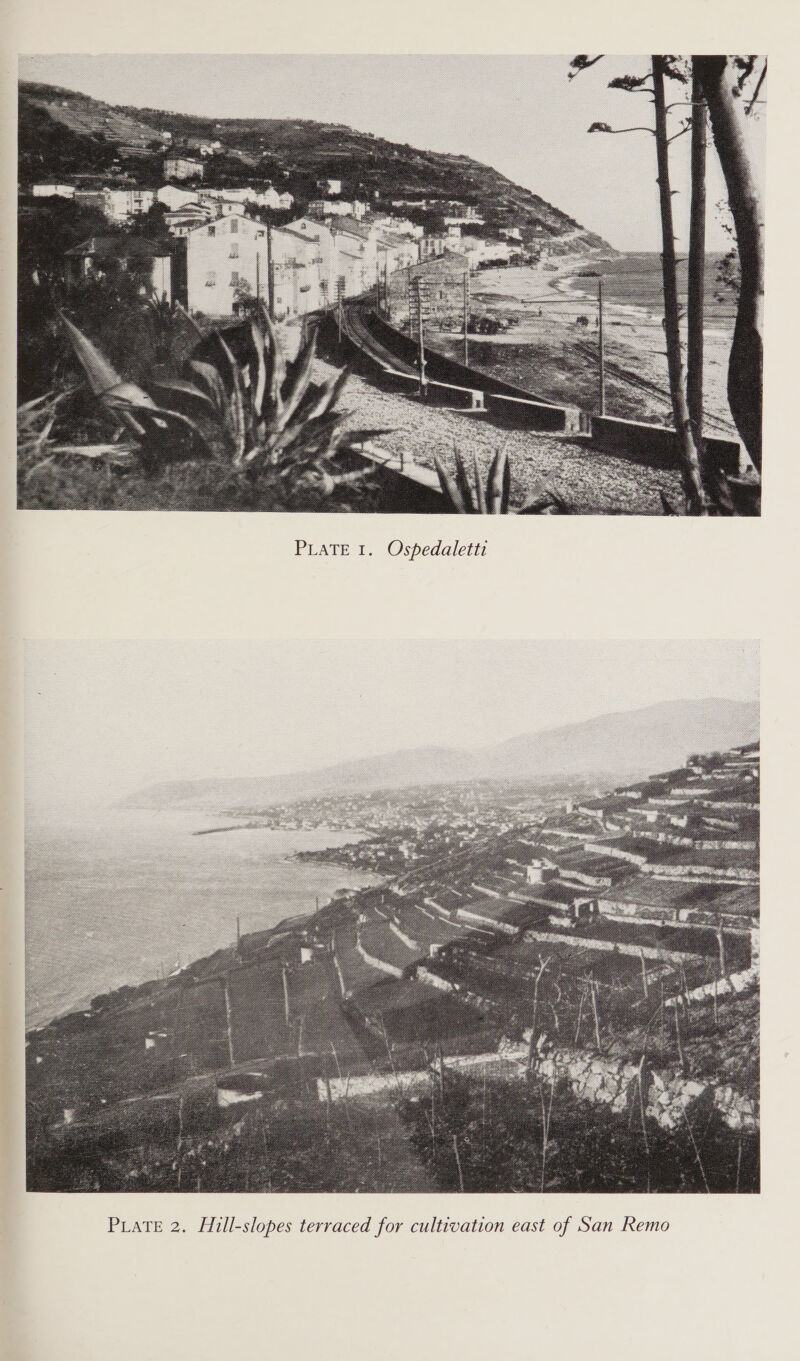 Ospedaletti PATE . .  