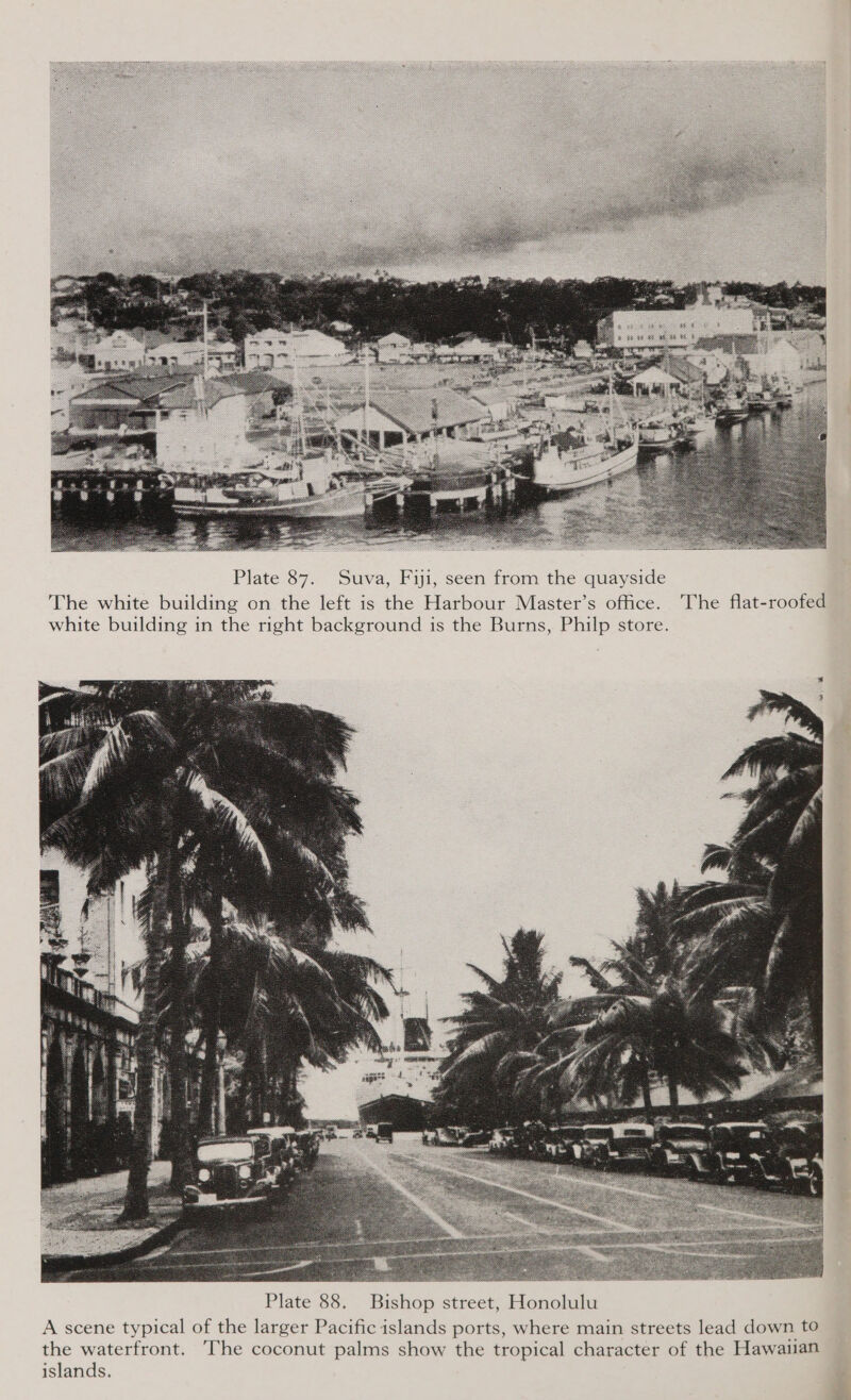   Plate 88. Bishop street, Honolulu A scene typical of the larger Pacific islands ports, where main streets lead down to the waterfront. ‘The coconut palms show the tropical character of the Hawauan islands.