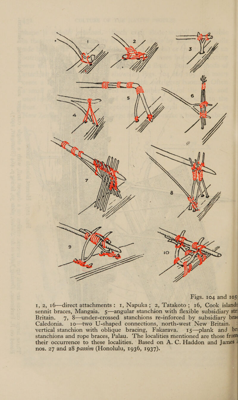  | Figs. 104 and 105 I, 2, 16—direct attachments: 1, Napuka; 2, Tatakoto; 16, Cook island sennit braces, Mangaia. 5—angular stanchion with flexible subsidiary st Britain. 7, 8—under-crossed stanchions re-inforced by subsidiary bra Caledonia. 10—two U-shaped connections, north-west New Britain. vertical stanchion with oblique bracing, Fakarava. 315—plank and b stanchions and rope braces, Palau. ‘The localities mentioned are those fron their occurrence to these localities. Based on A. C. Haddon and James nos. 27 and 28 passim (Honolulu, 1936, 1937). .  