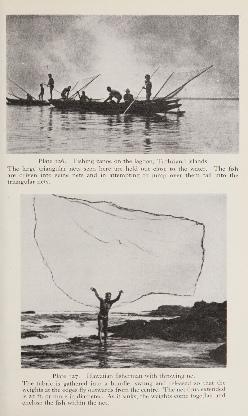  Plate 126. Fishing canoe on the lagoon, Trobriand islands The large triangular nets seen here are held out close to the water. The fish are driven into seine nets and in attempting to jump over them fall into the triangular nets. 