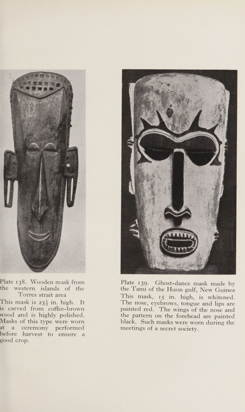  @ins mask is 234 in. high. It is carved from coffee-brown wood and is highly polished. Masks of this type were worn at_ a ceremony performed before harvest to ensure a good crop. Plate 139. Ghost-dance mask made by the ‘T'ami of the Huon gulf, New Guinea This mask, 15 in. high, is whitened. The nose, eyebrows, tongue and lips are painted red. The wings of the nose and the pattern on the forehead are painted black. Such masks were worn during the meetings of a secret society. .