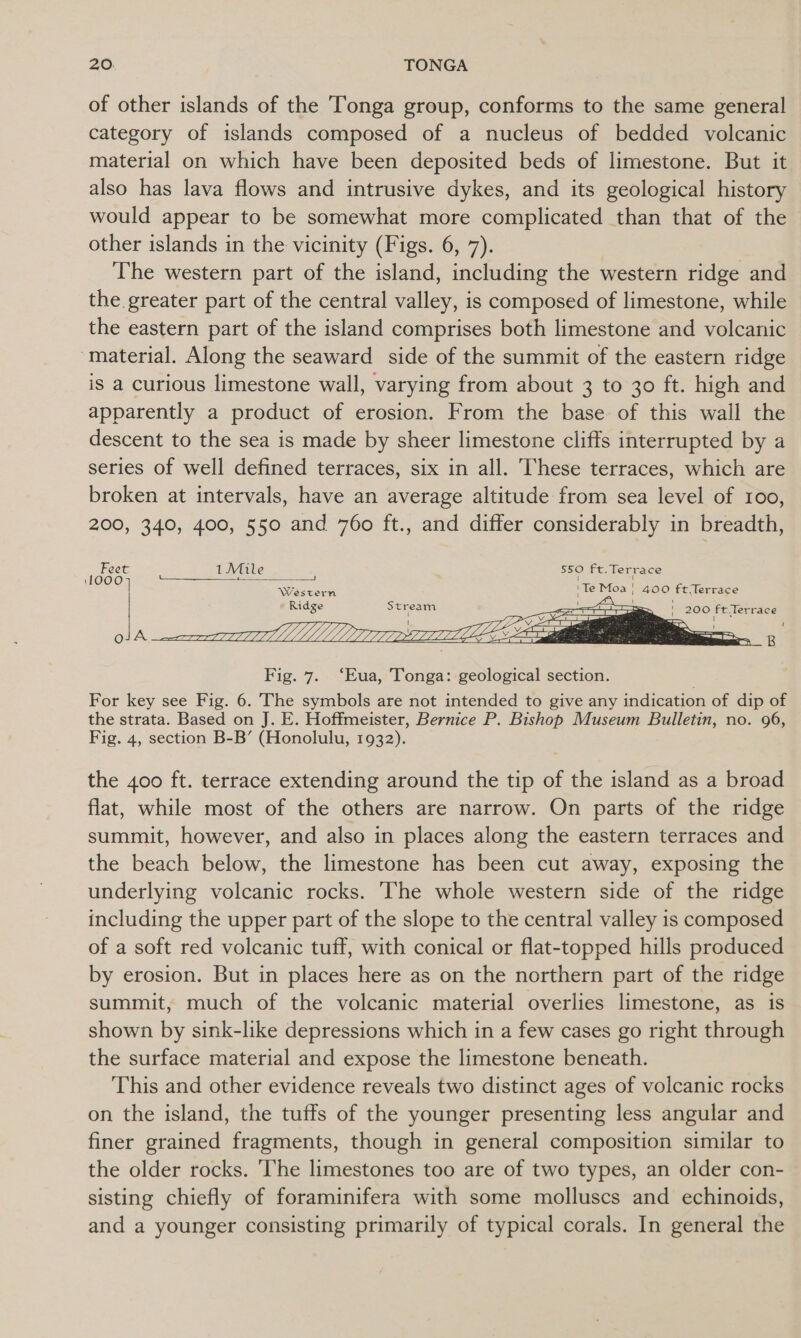 of other islands of the Tonga group, conforms to the same general category of islands composed of a nucleus of bedded volcanic material on which have been deposited beds of limestone. But it also has lava flows and intrusive dykes, and its geological history would appear to be somewhat more complicated than that of the other islands in the vicinity (Figs. 6, 7). The western part of the island, including the western ridge and the greater part of the central valley, is composed of limestone, while the eastern part of the island comprises both limestone and volcanic ‘material. Along the seaward side of the summit of the eastern ridge is a curious limestone wall, varying from about 3 to 30 ft. high and apparently a product of erosion. From the base of this wall the descent to the sea is made by sheer limestone cliffs interrupted by a series of well defined terraces, six in all. These terraces, which are broken at intervals, have an average altitude from sea level of 100, 200, 340, 400, 550 and 760 ft., and differ considerably in breadth, tVGle i 550 ft. Terrace Western ‘Te Moa | 400 ftTerrace Ridge fh  Feet 1000 S Stream    Fig. 7. ‘Eua, Tonga: geological section. For key see Fig. 6. The symbols are not intended to give any indication of dip of the strata. Based on J. E. Hoffmeister, Bernice P. Bishop Museum Bulletin, no. 96, Fig. 4, section B-B’ (Honolulu, 1932). the 400 ft. terrace extending around the tip of the island as a broad flat, while most of the others are narrow. On parts of the ridge summit, however, and also in places along the eastern terraces and the beach below, the limestone has been cut away, exposing the underlying volcanic rocks. The whole western side of the ridge including the upper part of the slope to the central valley is composed of a soft red volcanic tuff, with conical or flat-topped hills produced by erosion. But in places here as on the northern part of the ridge summit, much of the volcanic material overlies limestone, as is shown by sink-like depressions which in a few cases go right through the surface material and expose the limestone beneath. This and other evidence reveals two distinct ages of volcanic rocks on the island, the tuffs of the younger presenting less angular and finer grained fragments, though in general composition similar to the older rocks. ‘he limestones too are of two types, an older con- sisting chiefly of foraminifera with some molluscs and echinoids, and a younger consisting primarily of typical corals. In general the