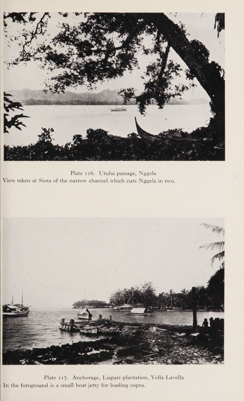  Plate 116. Utuha passage, Neggela View taken at Siota of the narrow channel which cuts Nggela in two.  In the foreground is a small boat jetty for loading copra.