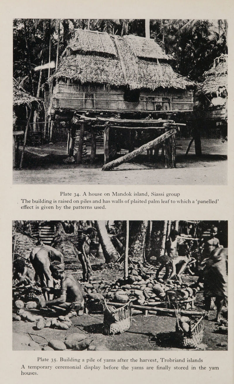  Plate 34. A house on Mandok island, Siassi group The building is raised on piles and has walls of plaited palm leaf to which a ‘panelled’ effect is given by the patterns used.  A temporary ceremonial display before the yams are finally stored in the yam houses.