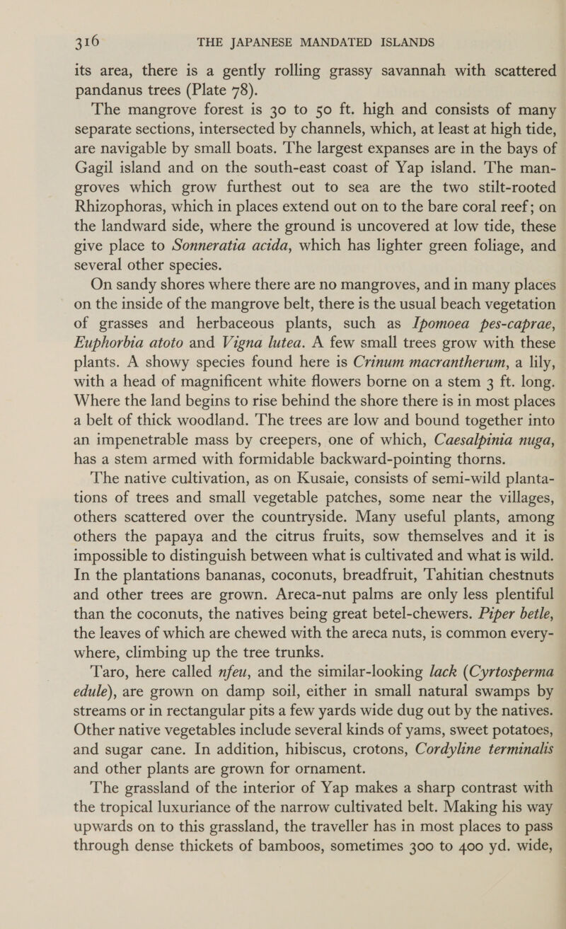 its area, there is a gently rolling grassy savannah with scattered pandanus trees (Plate 78). The mangrove forest is 30 to 50 ft. high and consists of many separate sections, intersected by channels, which, at least at high tide, are navigable by small boats. ‘The largest expanses are in the bays of Gagil island and on the south-east coast of Yap island. The man- groves which grow furthest out to sea are the two stilt-rooted Rhizophoras, which in places extend out on to the bare coral reef; on the landward side, where the ground is uncovered at low tide, these give place to Sonneratia acida, which has lighter green foliage, and several other species. On sandy shores where there are no mangroves, and in many places on the inside of the mangrove belt, there is the usual beach vegetation of grasses and herbaceous plants, such as Ipomoea pes-caprae, Euphorbia atoto and Vigna lutea. A few small trees grow with these plants. A showy species found here is Crinum macrantherum, a lily, with a head of magnificent white flowers borne on a stem 3 ft. long. Where the land begins to rise behind the shore there is in most places a belt of thick woodland. 'The trees are low and bound together into an impenetrable mass by creepers, one of which, Caesalpinia nuga, has a stem armed with formidable backward-pointing thorns. The native cultivation, as on Kusaie, consists of semi-wild planta- tions of trees and small vegetable patches, some near the villages, others scattered over the countryside. Many useful plants, among others the papaya and the citrus fruits, sow themselves and it is impossible to distinguish between what is cultivated and what is wild. In the plantations bananas, coconuts, breadfruit, ‘Tahitian chestnuts and other trees are grown. Areca-nut palms are only less plentiful than the coconuts, the natives being great betel-chewers. Piper betle, the leaves of which are chewed with the areca nuts, is common every- where, climbing up the tree trunks. Taro, here called nfeu, and the similar-looking lack (Cyrtosperma edule), are grown on damp soil, either in small natural swamps by streams or in rectangular pits a few yards wide dug out by the natives. Other native vegetables include several kinds of yams, sweet potatoes, and sugar cane. In addition, hibiscus, crotons, Cordyline terminalis and other plants are grown for ornament. The grassland of the interior of Yap makes a sharp contrast with the tropical luxuriance of the narrow cultivated belt. Making his way — upwards on to this grassland, the traveller has in most places to pass through dense thickets of bamboos, sometimes 300 to 400 yd. wide,