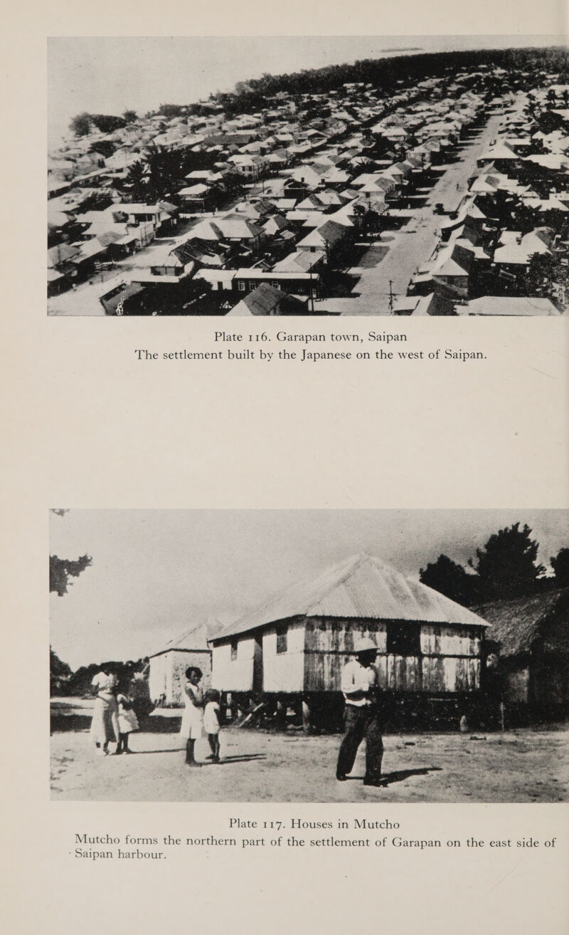  Plate 116. Garapan town, Saipan The settlement built by the Japanese on the west of Saipan. 