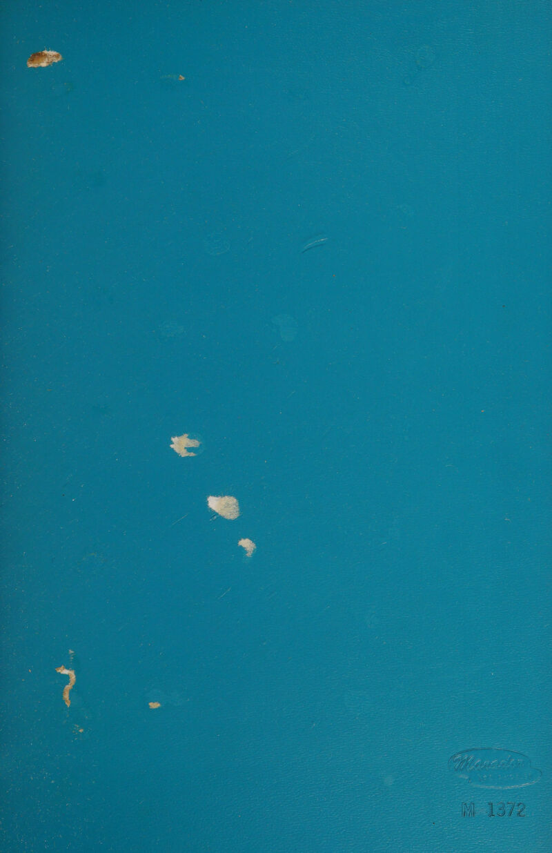   * ° x ne Vig in me i ¢ 