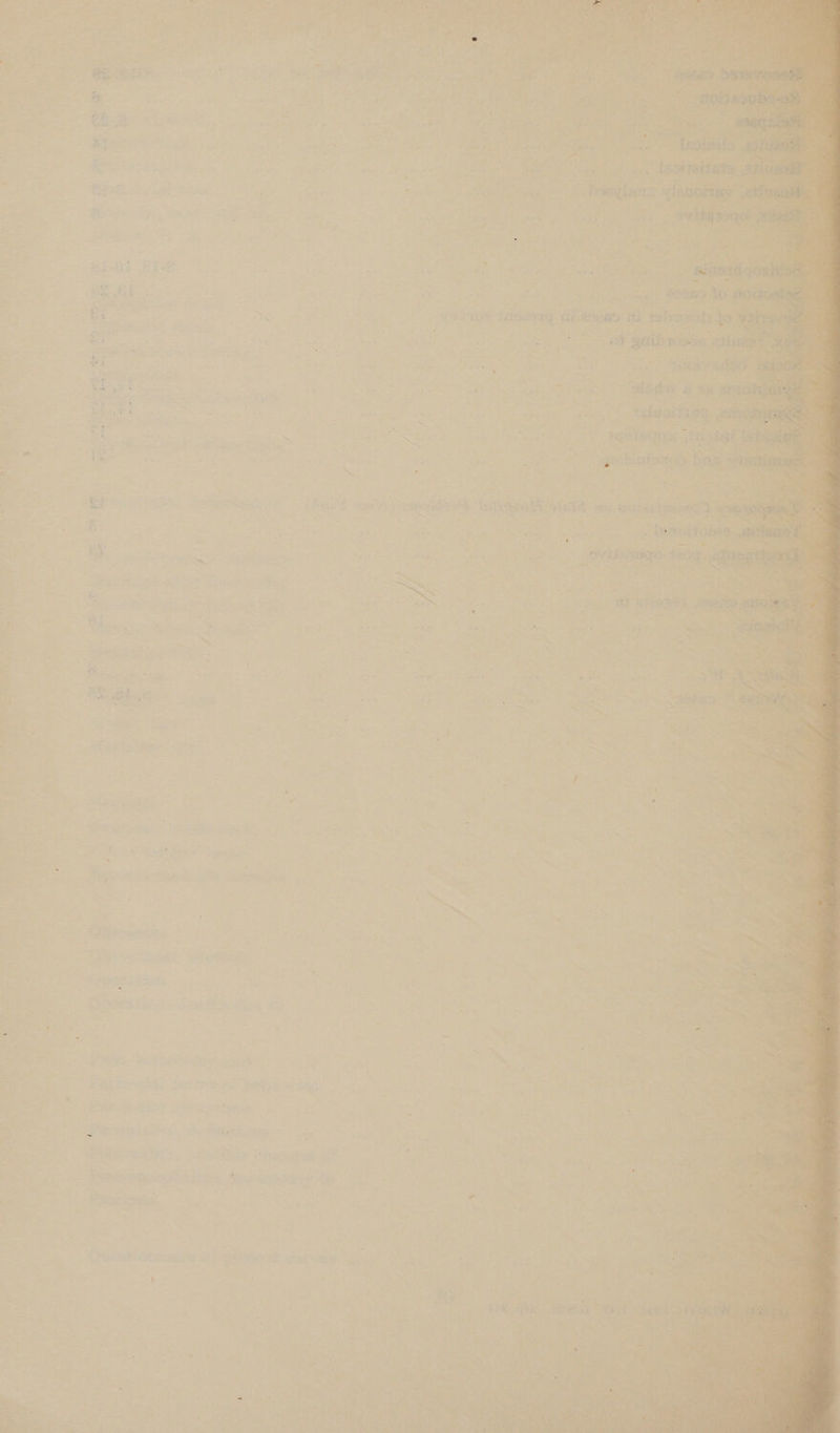 ‘3 1 » y P By ie iL 