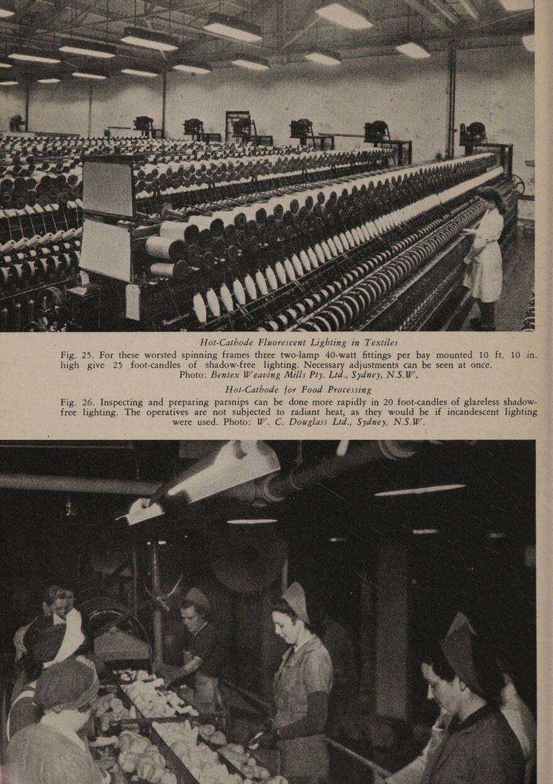 Hot-Cathode Fluorescent Lighting in Textiles Fig. 25. For these worsted spinning frames three two-lamp 40-watt fittings per bay mounted 10 ft. 10 in. high give 25 foot-candles of shadow-free lighting. Necessary adjustments can be seen at once. Photo: Bentex Weaving Mills Pty. Ltd., Sydney, N.S.W. Hot-Cathode for Food Processing
