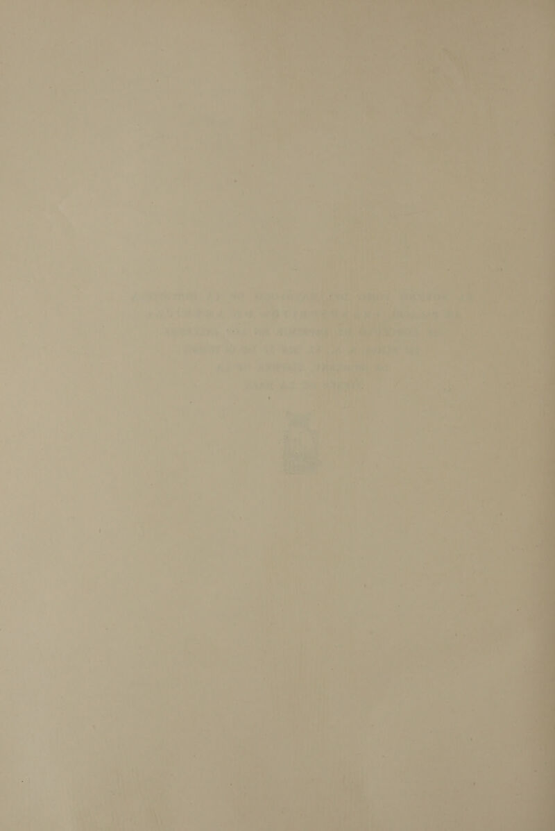 Ñ A AMPL. HON de  45 0 AMES  0 h Ls Mi de á E WS LS, ] ML Pas, o e” A ri La + + Se A mM  A ye eS e A 5 e e ye E1 E A N' AR + e A ” 7 Y a q A Ki ES 4 A