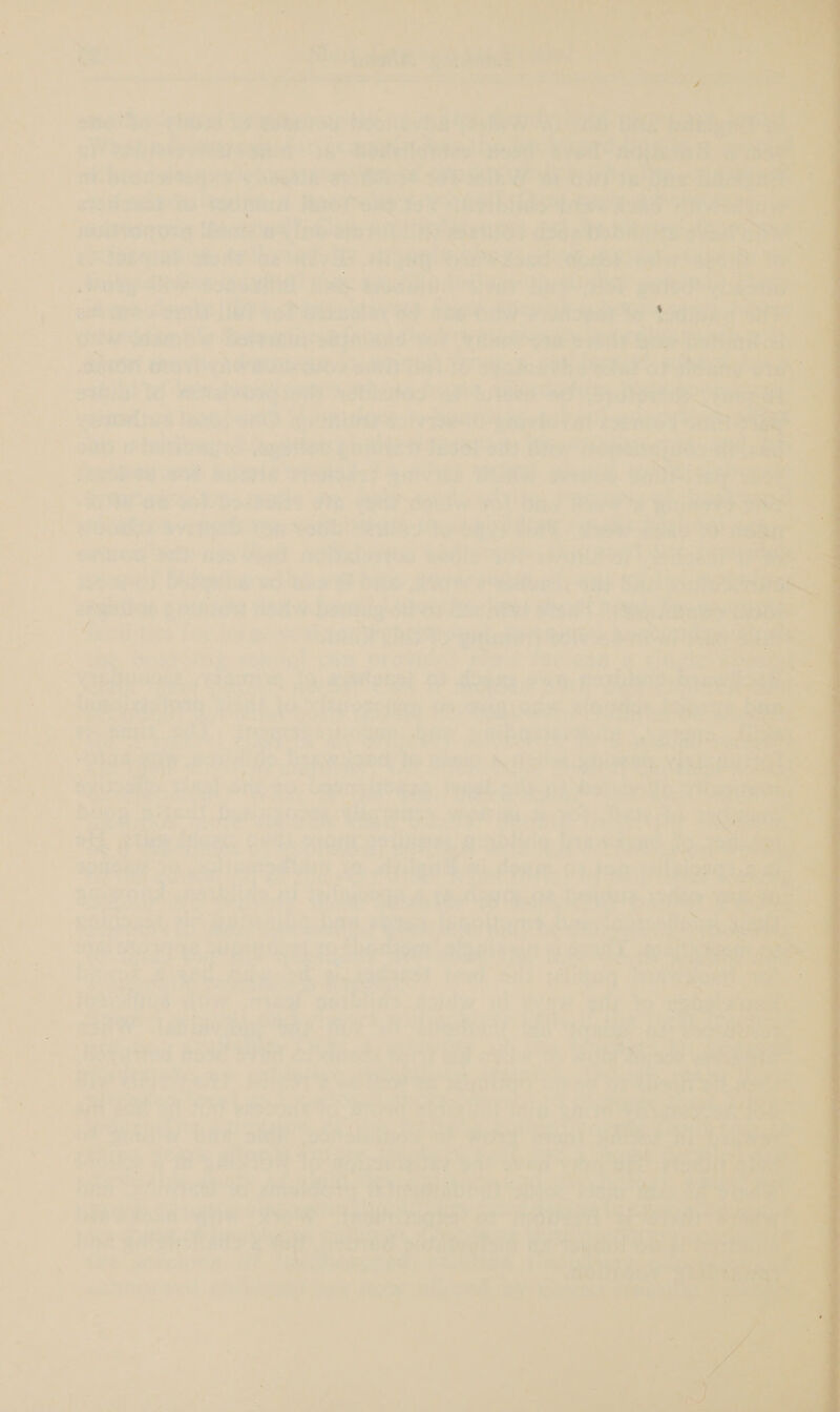           I ee f* ‘ ? « ity oe iv rae F ‘ ; aie tite G Thi ae. e ‘ ispetel n i} “0 i S pe oe a eats : ve i) z iy iw v1 f ¥ ws 7 2 A       yy ai pig gii lly ¢ m ys . oes : syY aE: Pian ie ee nine sia ia ty, . i 7 _ sehtacatnet Chara RO whe 7 | 349274 73 ° 7% ie ti a Ve: PY 43, 4 as = ew ig: a &amp;- é : AS, . @ os pe | es Ee tun Pe? Oe Se F's Sum i+ 7 Me. ; Le $e ler bis * ieee ?) Ft me, i ta ip tal ay rts a ’ r eo Ms ie lates @ Ce jpgeioky ats “ ‘S aigty we wl te - A J F aS sis sa { Rete. fo: ‘5 z 25 ae te4.5..°% ate F ath Bo 14 a4 SeAntobine : * S % ~ a * E | ~ ‘ 7 b , 7 J m j J*: i 5 4 ‘et wa ra » as ‘: “ip rey e ; o - - . ple | $ n bee d 4 : Cay a ed ae payne oe. 83 ‘ent gets 4 ‘ } 4 eK uy he y a rt, ny ’ be wl» ae Siar es ie ‘a a ts a 7 7 ry = é poe Z ; = es : = i = £3 954 “ xe 31 = a . - » 735 a te = + i, ee P; . ; : &lt; 4 = 5 pe ral ‘ q , . 3 ‘ ‘ 33 i i : a? i} Z ; , a ; : TPs ; : a ? _ = » \ 4 + Y * . 7 + 4 — - \ ea : t ' » r c ‘ 3 x 5 Pro es ‘ a  Labi eh, = 4 i ie! i may Se ve \ r - / Lak a “ qs “oo 4 ni $ ; S &lt;,\4 rst ’ &lt;I 2 - $  ‘4 ai wy 2 : ' qty 3363 im : d — . ’ j { x &lt; 4 , ' ‘ { 3 ; Npie : wk + 7 a oe 7 t x e j ¢ ; as ‘ 4 ’ . .% ie sy 4 a : Is per is kG ( i = ae ee: ¥ i . a pies : N ‘  is iW F eat ' ‘s ris) wPrsi ?: fe a1. ‘ : ,  wit . += are: . P a 7 Ny T “We ‘ - ‘ . ~ . is es tae © me a * Ww a se SPs An ‘ ; r d ; hs ei egpu ee P4 gn rere eB Ais be e ? : &gt; eye +) SE iy a: adhe leis aL iz Bie io oy ut Sih bere a St er ae uae al, 1 att note St } po Ae ra Bey ee Wee ae of se a! y Ay d ihe BPS a Be Ate Hee pe \ ee 3 4 ‘ - r * x -— 7 =e = a : i \ Feel : ? iL : # . a - - - 7 ba y A é a -! eet) ae eta Foe ae ee ov