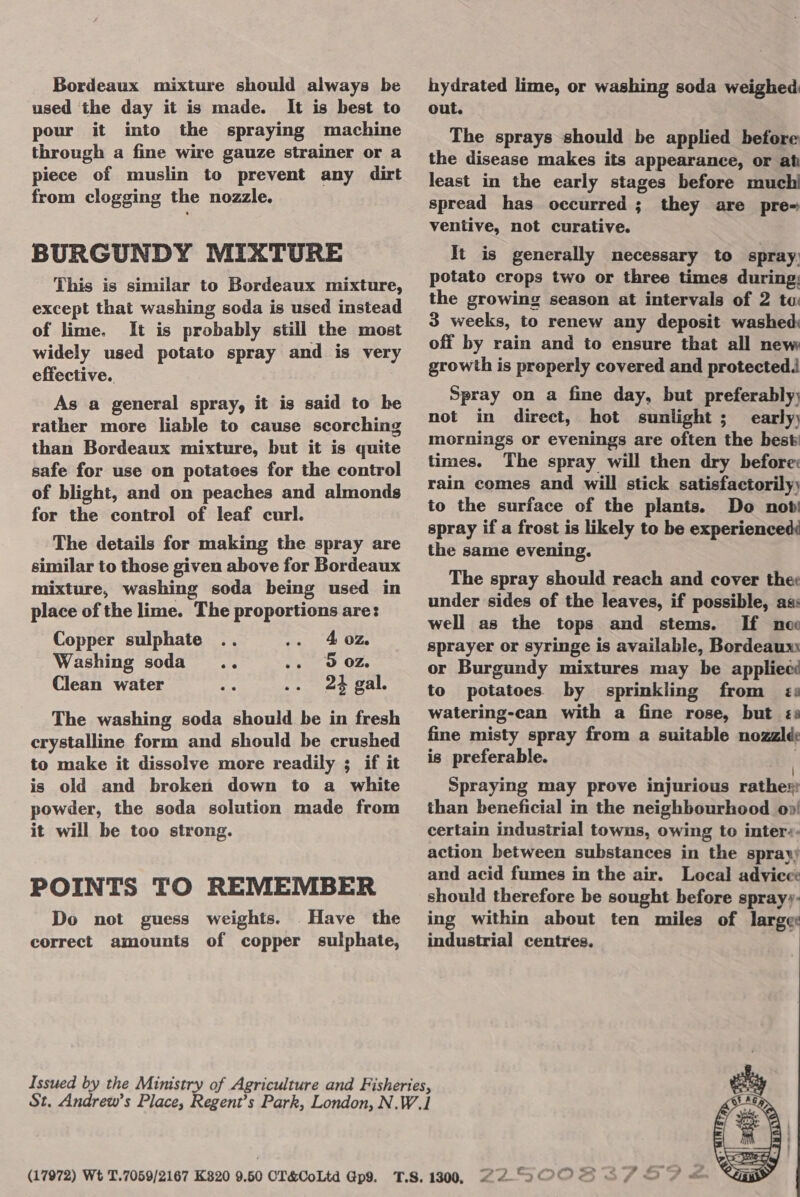 Bordeaux mixture should always be used the day it is made. It is best to pour it into the spraying machine through a fine wire gauze strainer or a piece of muslin to prevent any dirt from clogging the nozzle. BURGUNDY MIXTURE This is similar to Bordeaux mixture, except that washing soda is used instead of lime. It is probably still the most widely used potato spray and is very effective. As a general spray, it is said to he rather more liable to cause scorching than Bordeaux mixture, but it is quite safe for use on potatees for the control of blight, and on peaches and almonds for the control of leaf curl. The details for making the spray are similar to those given above for Bordeaux mixture, washing soda being used in place of the lime. The proportions are: Copper sulphate 4, 0z. Washing soda... .. 9 02. Clean water 24 gal. The washing soda should be in fresh crystalline form and should be crushed to make it dissolve more readily 3; if it is old and broken down to a white powder, the soda solution made from it will be too strong. POINTS TO REMEMBER Do not guess weights. Have the correct amounts of copper sulphate, hydrated lime, or washing soda weighed out. The sprays should be applied before the disease makes its appearance, or ah least in the early stages before much spread has occurred; they are pre= ventive, not curative. It is generally necessary to spray: potato crops two or three times during; the growing season at intervals of 2 to: 3 weeks, to renew any deposit washed: off by rain and to ensure that all new growth is preperly covered and protected Spray on a fine day, but preferably; not in direct, hot sunlight ;_ early) mornings or evenings are often the best times. The spray will then dry before: rain comes and will stick satisfactorily) to the surface of the plants. Do nob spray if a frost is likely to be experienced: the same evening. The spray should reach and cover thee under sides of the leaves, if possible, as: well as the tops and stems. If nee sprayer or syringe is available, Bordeaux or Burgundy mixtures may be applieci to potatoes’ by sprinkling from és watering-can with a fine rose, but ¢: fine misty spray from a suitable nozzld is preferable. Spraying may prove injurious rathey than beneficial in the neighbourhood op! certain industrial towus, owing to inter:- action between substances in the spray) and acid fumes in the air. Local advice: should therefore be sought before spray; ing within about ten miles of large industrial centres. 