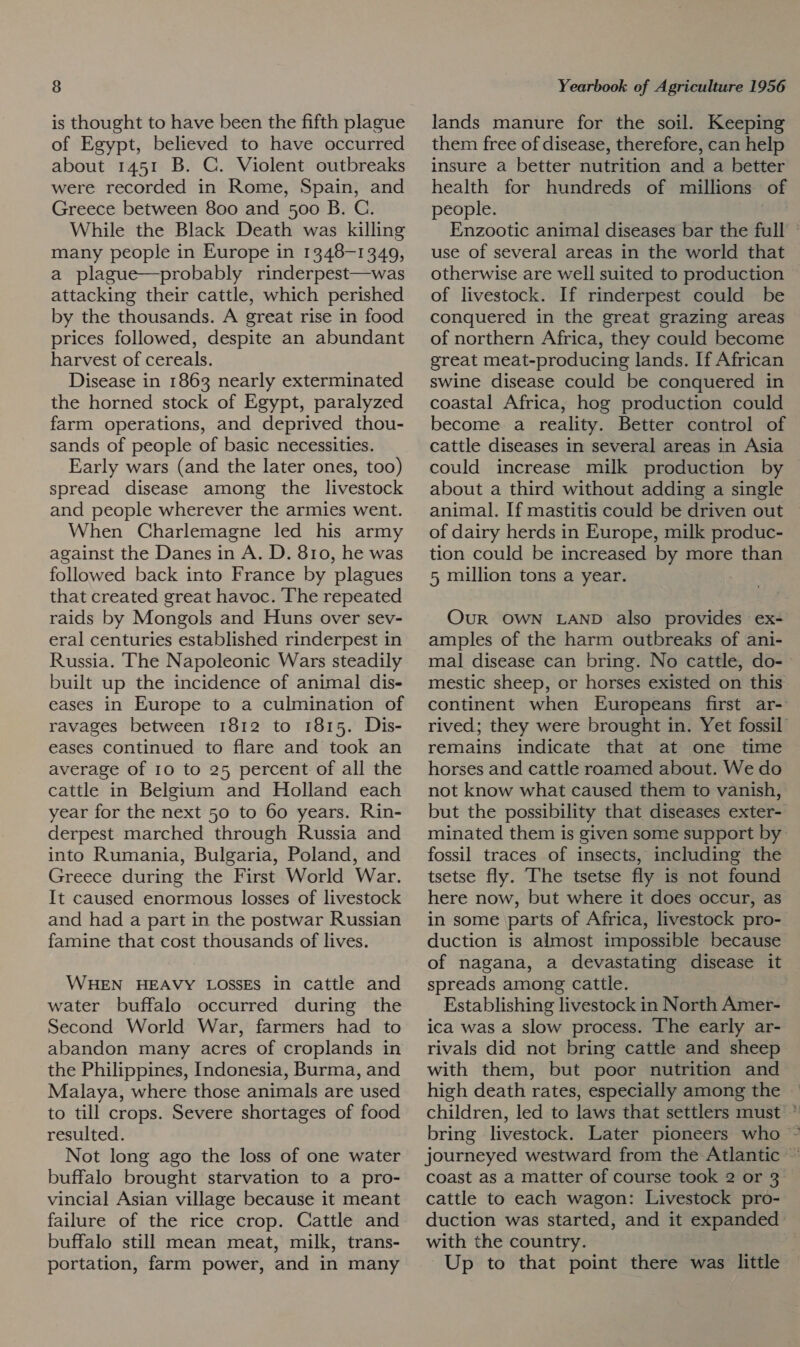 is thought to have been the fifth plague of Egypt, believed to have occurred about 1451 B. C. Violent outbreaks were recorded in Rome, Spain, and Greece between 800 and 500 B. C. While the Black Death was killing many people in Europe in 1348-1340, a plague—probably rinderpest—was attacking their cattle, which perished by the thousands. A great rise in food prices followed, despite an abundant harvest of cereals. Disease in 1863 nearly exterminated the horned stock of Egypt, paralyzed farm operations, and deprived thou- sands of people of basic necessities. Early wars (and the later ones, too) spread disease among the livestock and people wherever the armies went. When Charlemagne led his army against the Danes in A. D. 810, he was followed back into France by plagues that created great havoc. The repeated raids by Mongols and Huns over sev- eral centuries established rinderpest in Russia. The Napoleonic Wars steadily built up the incidence of animal dis- eases in Europe to a culmination of ravages between 1812 to 1815. Dis- eases continued to flare and took an average of 10 to 25 percent of all the cattle in Belgium and Holland each year for the next 50 to 60 years. Rin- derpest marched through Russia and into Rumania, Bulgaria, Poland, and Greece during the First World War. It caused enormous losses of livestock and had a part in the postwar Russian famine that cost thousands of lives. WHEN HEAVY LOSSES in cattle and water buffalo occurred during the Second World War, farmers had to abandon many acres of croplands in the Philippines, Indonesia, Burma, and Malaya, where those animals are used to till crops. Severe shortages of food resulted. Not long ago the loss of one water buffalo brought starvation to a pro- vincial Asian village because it meant failure of the rice crop. Cattle and buffalo still mean meat, milk, trans- portation, farm power, and in many lands manure for the soil. Keeping them free of disease, therefore, can help insure a better nutrition and a better health for hundreds of millions of people. | Enzootic animal diseases bar the full — use of several areas in the world that otherwise are well suited to production of livestock. If rinderpest could be conquered in the great grazing areas of northern Africa, they could become great meat-producing lands. If African swine disease could be conquered in coastal Africa, hog production could become a reality. Better control of cattle diseases in several areas in Asia could increase milk production by about a third without adding a single animal. If mastitis could be driven out of dairy herds in Europe, milk produc- tion could be increased by more than 5 million tons a year. OuR OWN LAND also provides ex- amples of the harm outbreaks of ani- mal disease can bring. No cattle, do- mestic sheep, or horses existed on this continent when Europeans first ar- rived; they were brought in. Yet fossil’ remains indicate that at one time horses and cattle roamed about. We do not know what caused them to vanish, but the possibility that diseases exter- minated them is given some support by fossil traces of insects, including the tsetse fly. The tsetse fly is not found here now, but where it does occur, as in some parts of Africa, livestock pro- duction is almost impossible because of nagana, a devastating disease it spreads among cattle. Establishing livestock in North Amer- ica was a slow process. The early ar- rivals did not bring cattle and sheep with them, but poor nutrition and high death rates, especially among the children, led to laws that settlers must * bring livestock. Later pioneers who ~ journeyed westward from the Atlantic ~ coast as a matter of course took 2 or 3° cattle to each wagon: Livestock pro- duction was started, and it expanded with the country. Up to that point there was little