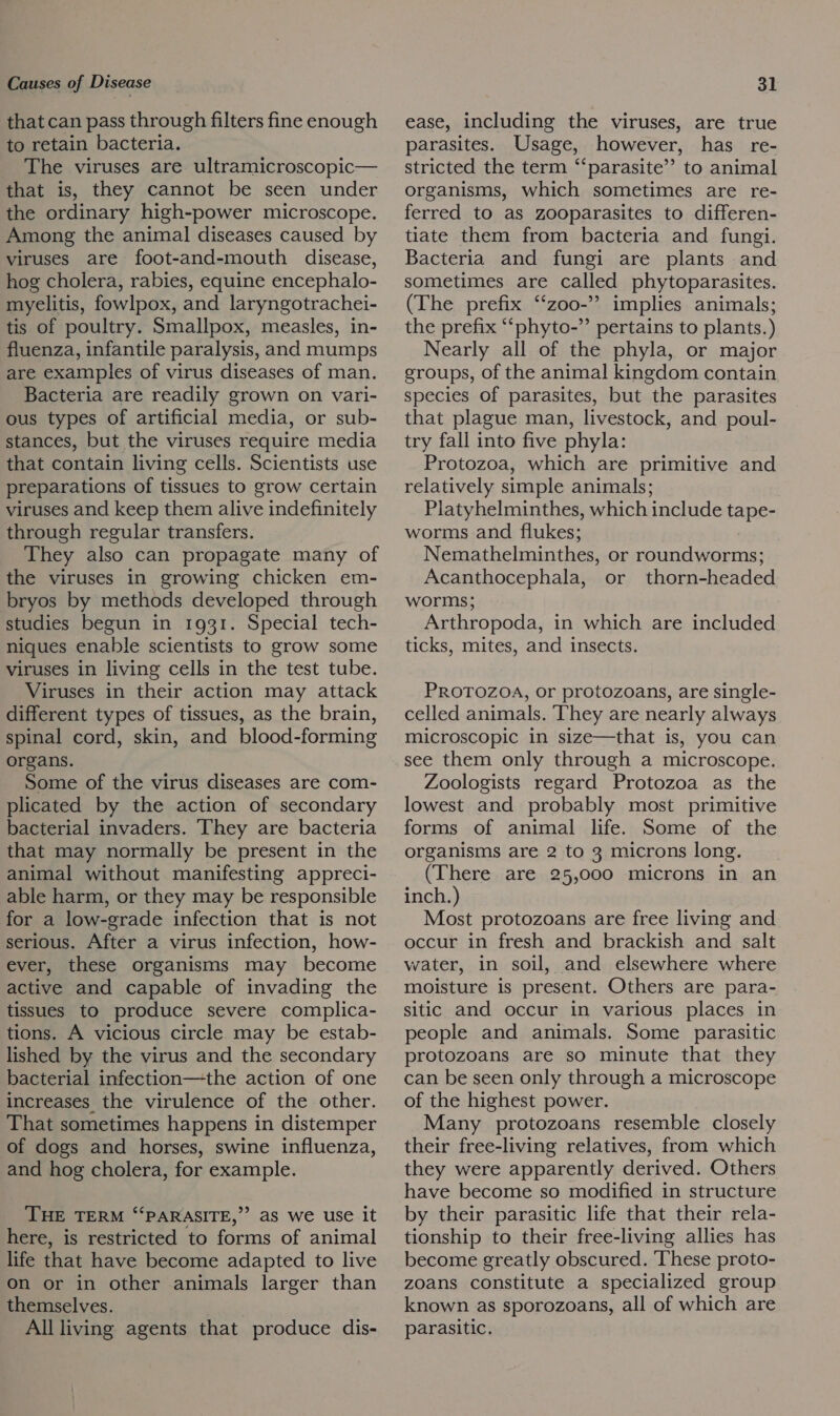 that can pass through filters fine enough to retain bacteria. The viruses are ultramicroscopic— that is, they cannot be seen under the ordinary high-power microscope. Among the animal diseases caused by viruses are foot-and-mouth disease, hog cholera, rabies, equine encephalo- myelitis, fowlpox, and laryngotrachei- tis of poultry. Smallpox, measles, in- fluenza, infantile paralysis, and mumps are examples of virus diseases of man. Bacteria are readily grown on vari- ous types of artificial media, or sub- stances, but the viruses require media that contain living cells. Scientists use preparations of tissues to grow certain viruses and keep them alive indefinitely through regular transfers. They also can propagate many of the viruses in growing chicken em- bryos by methods developed through studies begun in 1931. Special tech- niques enable scientists to grow some viruses in living cells in the test tube. Viruses in their action may attack different types of tissues, as the brain, spinal cord, skin, and blood-forming organs. Some of the virus diseases are com- plicated by the action of secondary bacterial invaders. They are bacteria that may normally be present in the animal without manifesting appreci- able harm, or they may be responsible for a low-grade infection that is not serious. After a virus infection, how- ever, these organisms may become active and capable of invading the tissues to produce severe complica- tions. A vicious circle may be estab- lished by the virus and the secondary bacterial infection—the action of one increases the virulence of the other. That sometimes happens in distemper of dogs and horses, swine influenza, and hog cholera, for example. THE TERM “‘PARASITE,”” aS we use it here, is restricted to forms of animal life that have become adapted to live on or in other animals larger than themselves. All living agents that produce dis- ease, including the viruses, are true parasites. Usage, however, has re- stricted the term “‘parasite”’ to animal organisms, which sometimes are re- ferred to as zooparasites to differen- tiate them from bacteria and fungi. Bacteria and fungi are plants and sometimes are called phytoparasites. (The prefix ‘‘zoo-’’ implies animals; the prefix “‘phyto-” pertains to plants.) Nearly all of the phyla, or major groups, of the animal kingdom contain species of parasites, but the parasites that plague man, livestock, and poul- try fall into five phyla: Protozoa, which are primitive and relatively simple animals; Piatyhelminthes, which include tape- worms and flukes; Nemathelminthes, or roundworms; Acanthocephala, or thorn-headed worms; Arthropoda, in which are included ticks, mites, and insects. PROTOZOA, or protozoans, are single- celled animals. ‘They are nearly always microscopic in size—that is, you can see them only through a microscope. Zoologists regard Protozoa as the lowest and probably most primitive forms of animal life. Some of the organisms are 2 to 3 microns long. (There are 25,000 microns in an inch.) Most protozoans are free living and occur in fresh and brackish and salt water, in soil, and elsewhere where moisture is present. Others are para- sitic and occur in various places in people and animals. Some parasitic protozoans are so minute that they can be seen only through a microscope of the highest power. Many protozoans resemble closely their free-living relatives, from which they were apparently derived. Others have become so modified in structure by their parasitic life that their rela- tionship to their free-living allies has become greatly obscured. These proto- zoans constitute a specialized group known as sporozoans, all of which are parasitic.