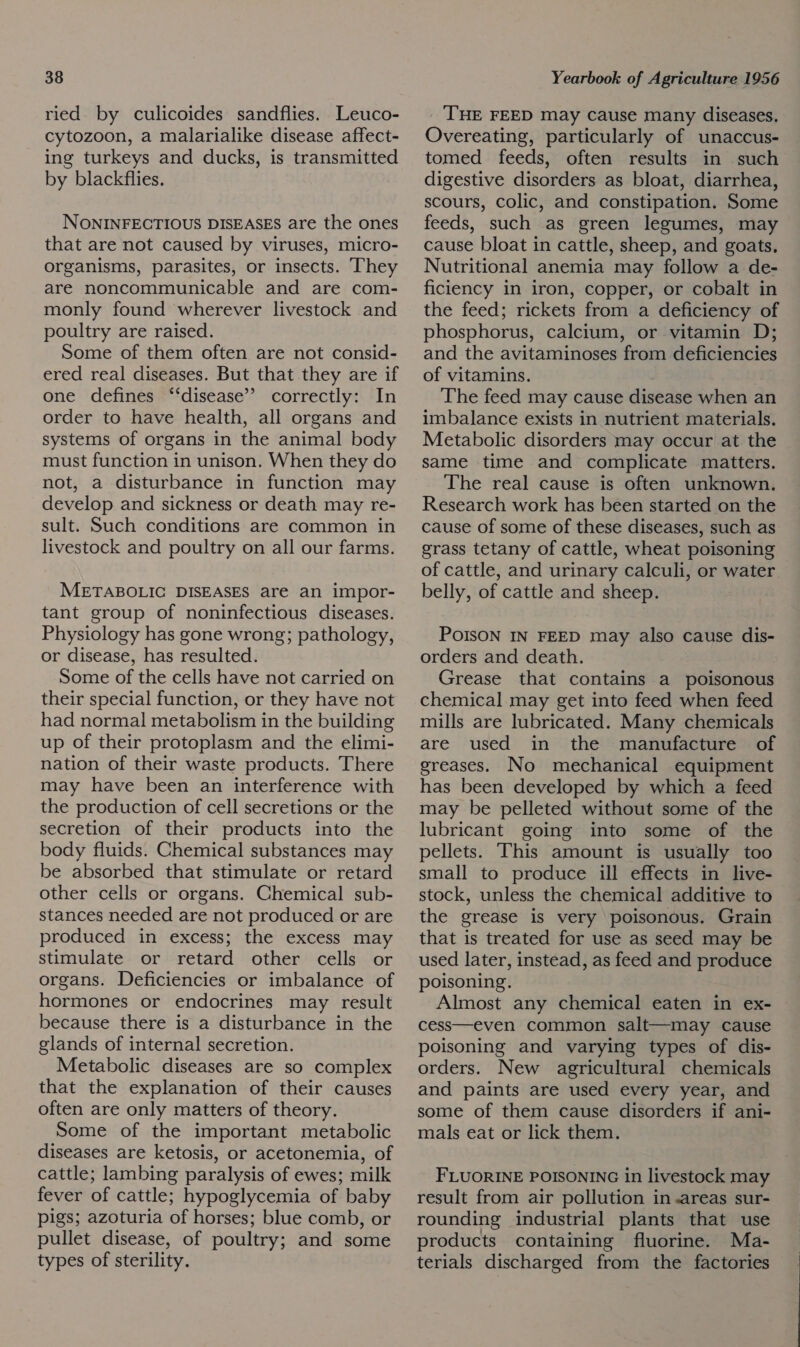 ried. by culicoides sandflies. Leuco- cytozoon, a malarialike disease affect- ing turkeys and ducks, is transmitted by blackflies. NONINFECTIOUS DISEASES are the ones that are not caused by viruses, micro- organisms, parasites, or insects. ‘They are noncommunicable and are com- monly found wherever livestock and poultry are raised. Some of them often are not consid- ered real diseases. But that they are if one defines “‘disease’? correctly: In order to have health, all organs and systems of organs in the animal body must function in unison. When they do not, a disturbance in function may develop and sickness or death may re- sult. Such conditions are common in livestock and poultry on all our farms. METABOLIC DISEASES are an impor- tant group of noninfectious diseases. Physiology has gone wrong; pathology, or disease, has resulted. Some of the cells have not carried on their special function, or they have not had normal metabolism in the building up of their protoplasm and the elimi- nation of their waste products. There may have been an interference with the production of cell secretions or the secretion of their products into the body fluids. Chemical substances may be absorbed that stimulate or retard other cells or organs. Chemical sub- stances needed are not produced or are produced in excess; the excess may stimulate or retard other cells or organs. Deficiencies or imbalance of hormones or endocrines may result because there is a disturbance in the glands of internal secretion. Metabolic diseases are so complex that the explanation of their causes often are only matters of theory. Some of the important metabolic diseases are ketosis, or acetonemia, of cattle; lambing paralysis of ewes; milk fever of cattle; hypoglycemia of baby pigs; azoturia of horses; blue comb, or pullet disease, of poultry; and some types of sterility. THE FEED may cause many diseases. Overeating, particularly of unaccus- tomed feeds, often results in such digestive disorders as bloat, diarrhea, scours, colic, and constipation. Some feeds, such as green legumes, may cause bloat in cattle, sheep, and goats, Nutritional anemia may follow a de- ficiency in iron, copper, or cobalt in the feed; rickets from a deficiency of phosphorus, calcium, or vitamin D; and the avitaminoses from deficiencies of vitamins. The feed may cause disease when an imbalance exists in nutrient materials. Metabolic disorders may occur at the same time and complicate matters. The real cause is often unknown. Research work has been started on the cause of some of these diseases, such as grass tetany of cattle, wheat poisoning of cattle, and urinary calculi, or water belly, of cattle and sheep. POISON IN FEED may also cause dis- orders and death. Grease that contains a poisonous chemical may get into feed when feed mills are lubricated. Many chemicals are used in the manufacture of greases. No mechanical equipment has been developed by which a feed may be pelleted without some of the lubricant going into some of the pellets. This amount is usually too small to produce ill effects in live- stock, unless the chemical additive to the grease is very poisonous. Grain that is treated for use as seed may be used later, instead, as feed and produce poisoning. Almost any chemical eaten in ex- cess—even common salt—may cause poisoning and varying types of dis- orders. New agricultural chemicals and paints are used every year, and some of them cause disorders if ani- mals eat or lick them. FLUORINE POISONING in livestock may result from air pollution in .areas sur- rounding industrial plants that use products containing fluorine. Ma- terials discharged from the factories