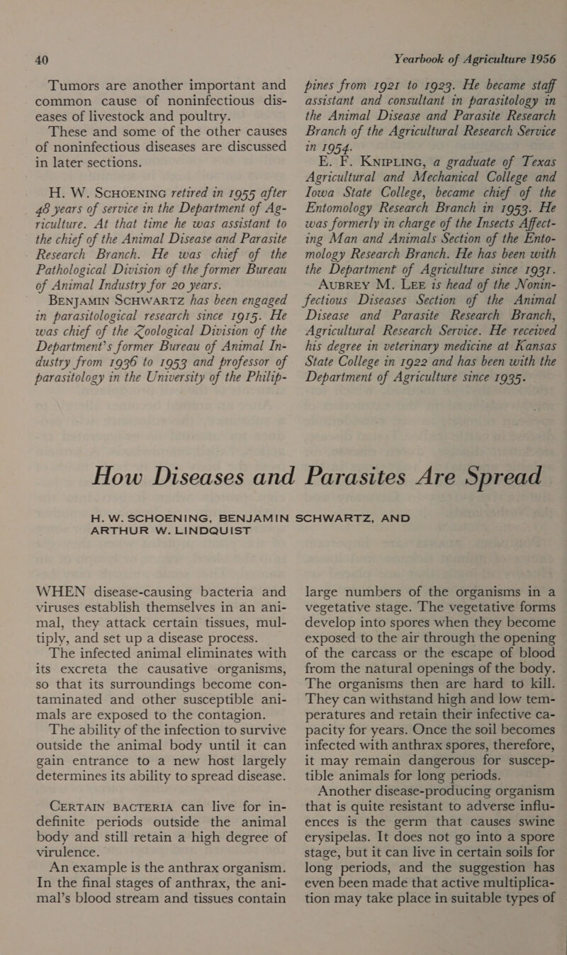 Tumors are another important and common cause of noninfectious dis- eases of livestock and poultry. These and some of the other causes of noninfectious diseases are discussed in later sections. H. W. ScHOENING retired in 1955 after 48 years of service in the Department of Ag- riculture. At that time he was assistant to the chief of the Animal Disease and Parasite Research Branch. He was chief of the Pathological Division of the former Bureau of Animal Industry for 20 years. BENJAMIN SCHWARTZ has been engaged in parasitological research since 1915. He was chief of the oological Division of the Department’s former Bureau of Animal In- dustry from 1936 to 1953 and professor of parasitology in the University of the Philip- pines from 1921 to 1923. He became staff assistant and consultant in parasitology in the Animal Disease and Parasite Research Branch of the Agricultural Research Service in 1954. E. F. Knipuine, a graduate of Texas Agricultural and Mechanical College and Iowa State College, became chief of the Entomology Research Branch in 1953. He was formerly in charge of the Insects Affect- ing Man and Animals Section of the Ento- mology Research Branch. He has been with the Department of Agriculture since 1931. AuBREY M. LEE 1s head of the Nonin- fectious Diseases Section of the Animal Disease and Parasite Research Branch, Agricultural Research Service. He received his degree in veterinary medicine at Kansas State College in 1922 and has been with the Department of Agriculture since 1935. ARTHUR W. LINDQUIST WHEN disease-causing bacteria and viruses establish themselves in an ani- mal, they attack certain tissues, mul- tiply, and set up a disease process. The infected animal eliminates with its excreta the causative organisms, so that its surroundings become con- taminated and other susceptible ani- mals are exposed to the contagion. The ability of the infection to survive outside the animal body until it can gain entrance to a new host largely determines its ability to spread disease. CERTAIN BACTERIA can live for in- definite periods outside the animal body and still retain a high degree of virulence. An example is the anthrax organism. In the final stages of anthrax, the ani- mal’s blood stream and tissues contain large numbers of the organisms in a vegetative stage. The vegetative forms develop into spores when they become exposed to the air through the opening of the carcass or the escape of blood from the natural openings of the body. The organisms then are hard to kill. They can withstand high and low tem- peratures and retain their infective ca- pacity for years. Once the soil becomes infected with anthrax spores, therefore, it may remain dangerous for suscep- tible animals for long periods. Another disease-producing organism that is quite resistant to adverse influ- ences is the germ that causes swine erysipelas. It does not go into a spore stage, but it can live in certain soils for long periods, and the suggestion has even been made that active multiplica- tion may take place in suitable types of |