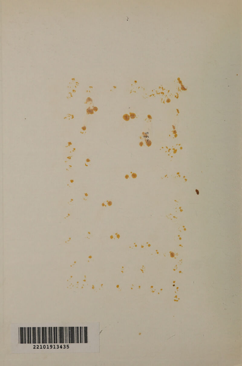 f + tes & aa | ” & . e @ 6, ® Pe * | ; mm