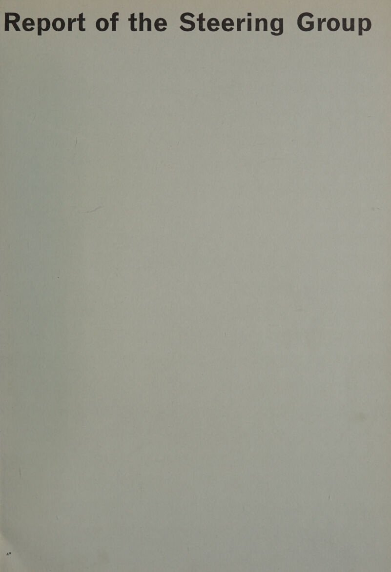 Report of the Steering Group