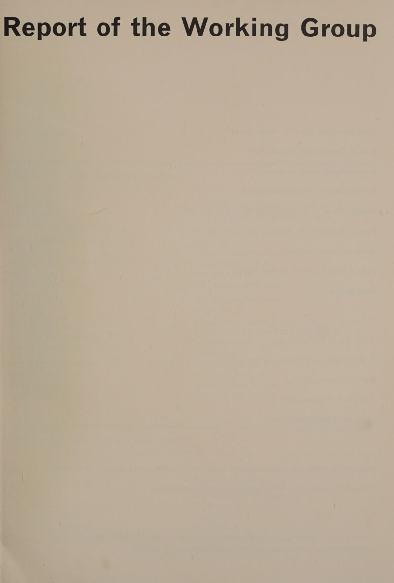 Report of the Working Group