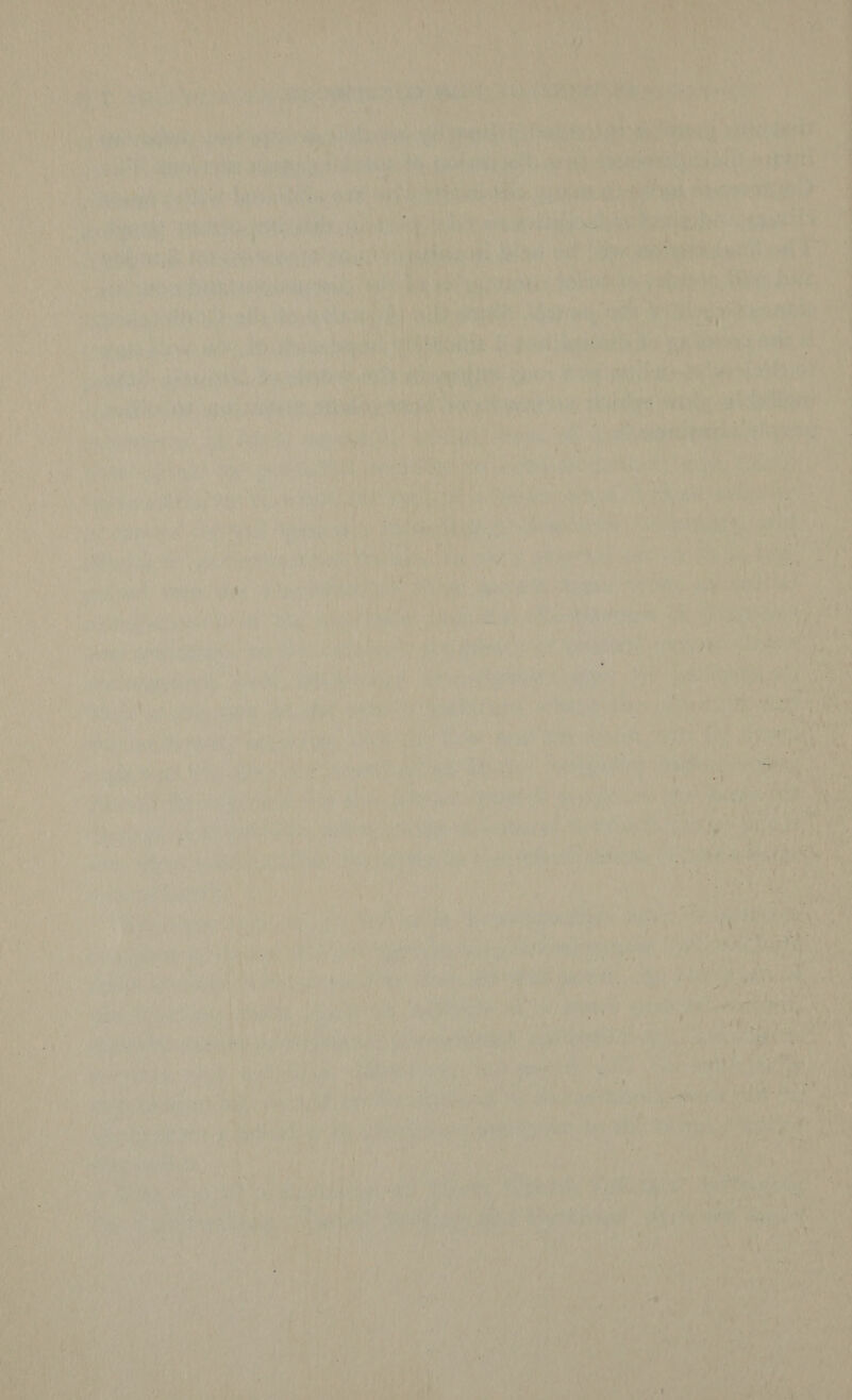 L Laue 0 bis <i \ tess : I i hi ade sd Ve ULE: yee Ag Lie: om ue Foxy, HY US Re A Le Cah ny) sy 