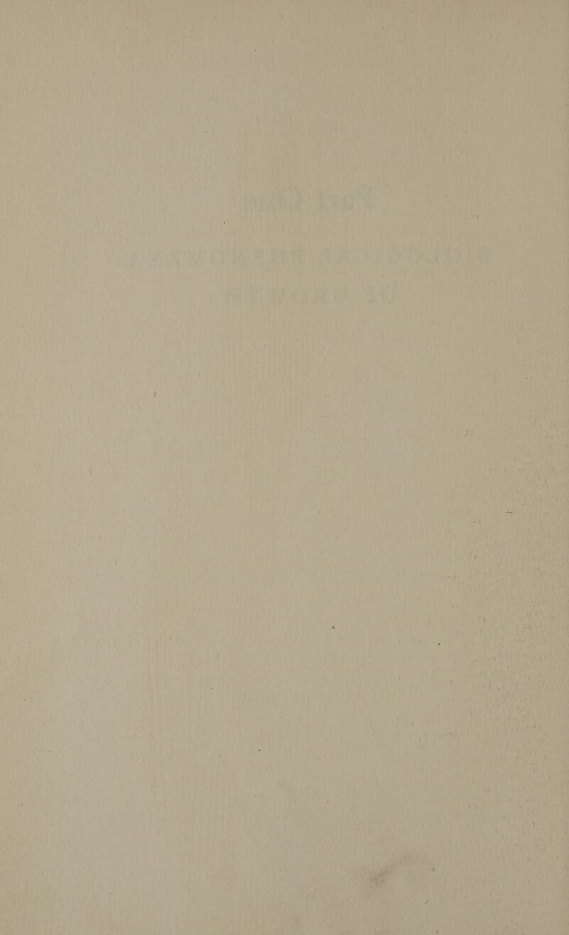 Ora ) ia Veer, Mees aX oS, Bay 