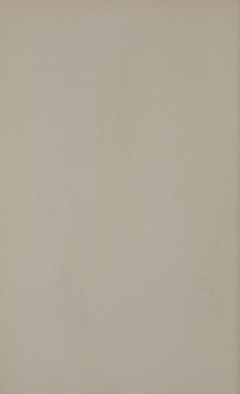 Puls 4 -) % pt ae Ae : ’ ia . ; E o ae al , « ry 7 >  : uy ’ ao ¢ 6 + os 4 