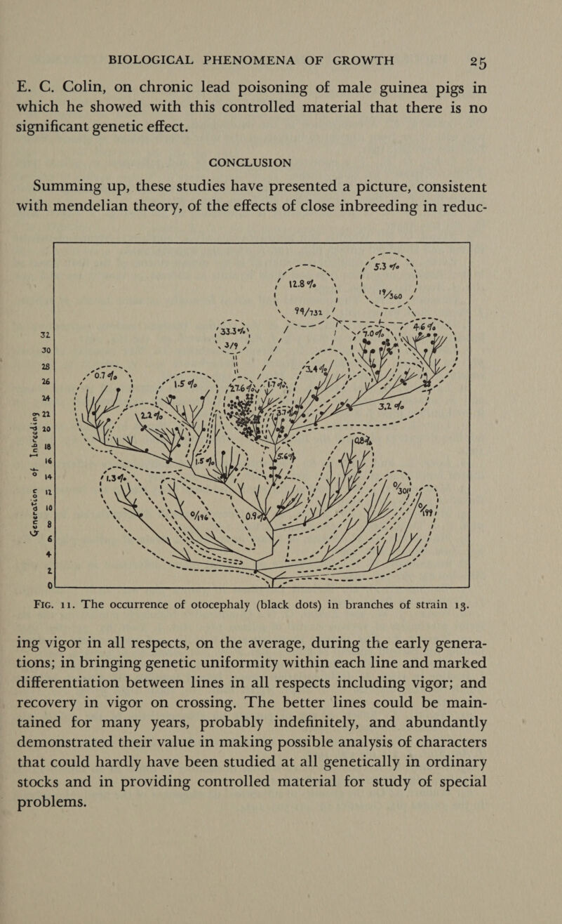 E. C. Colin, on chronic lead poisoning of male guinea pigs in which he showed with this controlled material that there is no significant genetic effect. CONCLUSION Summing up, these studies have presented a picture, consistent with mendelian theory, of the effects of close inbreeding in reduc- RRB n PP 16 of Inbreeding Generation  Fic. 11. The occurrence of otocephaly (black dots) in branches of strain 13. ing vigor in all respects, on the average, during the early genera- tions; in bringing genetic uniformity within each line and marked differentiation between lines in all respects including vigor; and recovery in vigor on crossing. ‘The better lines could be main- tained for many years, probably indefinitely, and abundantly demonstrated their value in making possible analysis of characters that could hardly have been studied at all genetically in ordinary stocks and in providing controlled material for study of special problems.